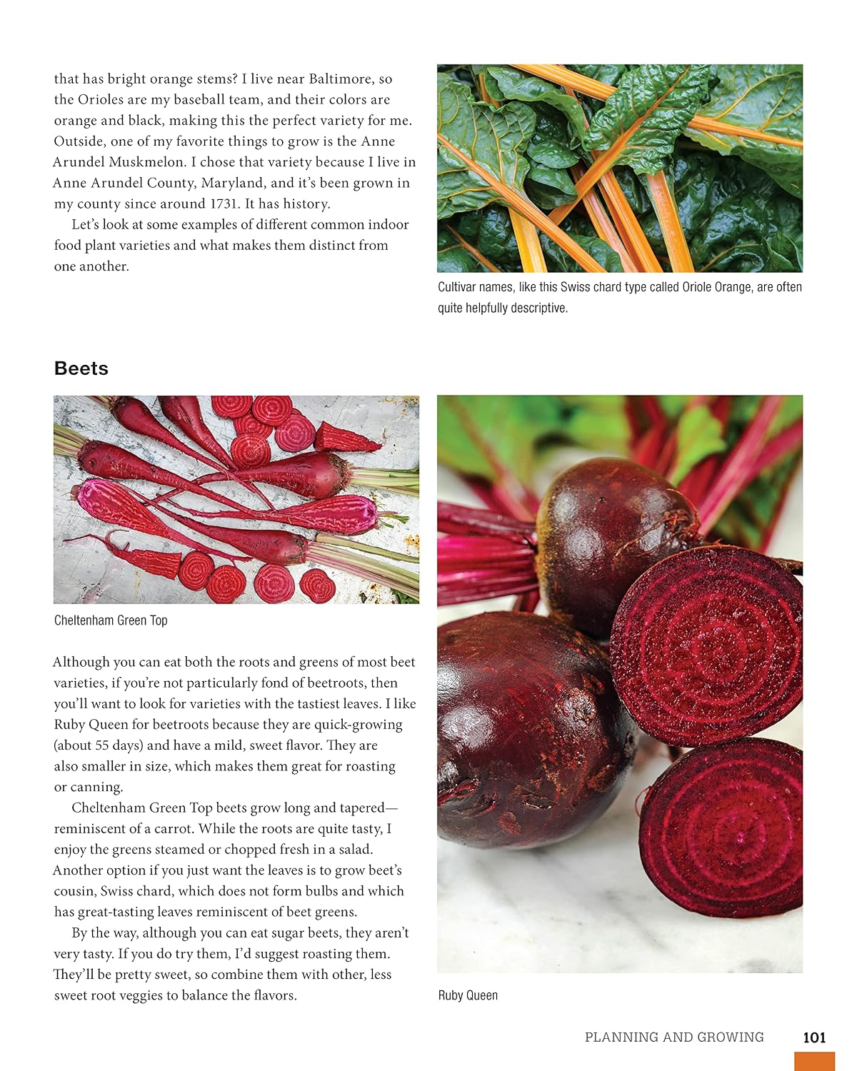 How to Garden Indoors & Grow Your Own Food Year-Round: Ultimate Guide to Vertical, Container, and Hydroponic Gardening (Creative Homeowner) Vegetables