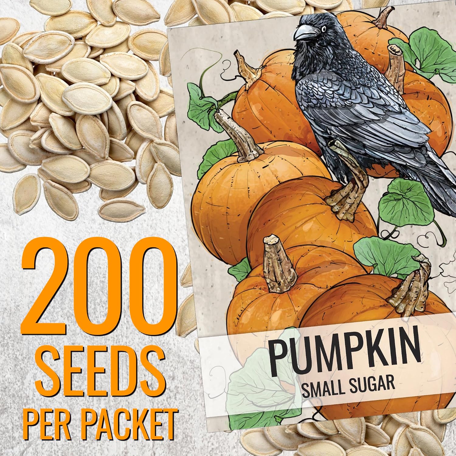 Seed Needs Pumpkin Seeds to Plant 100 Seeds Spooky Mix Non GMO Bulk Pack