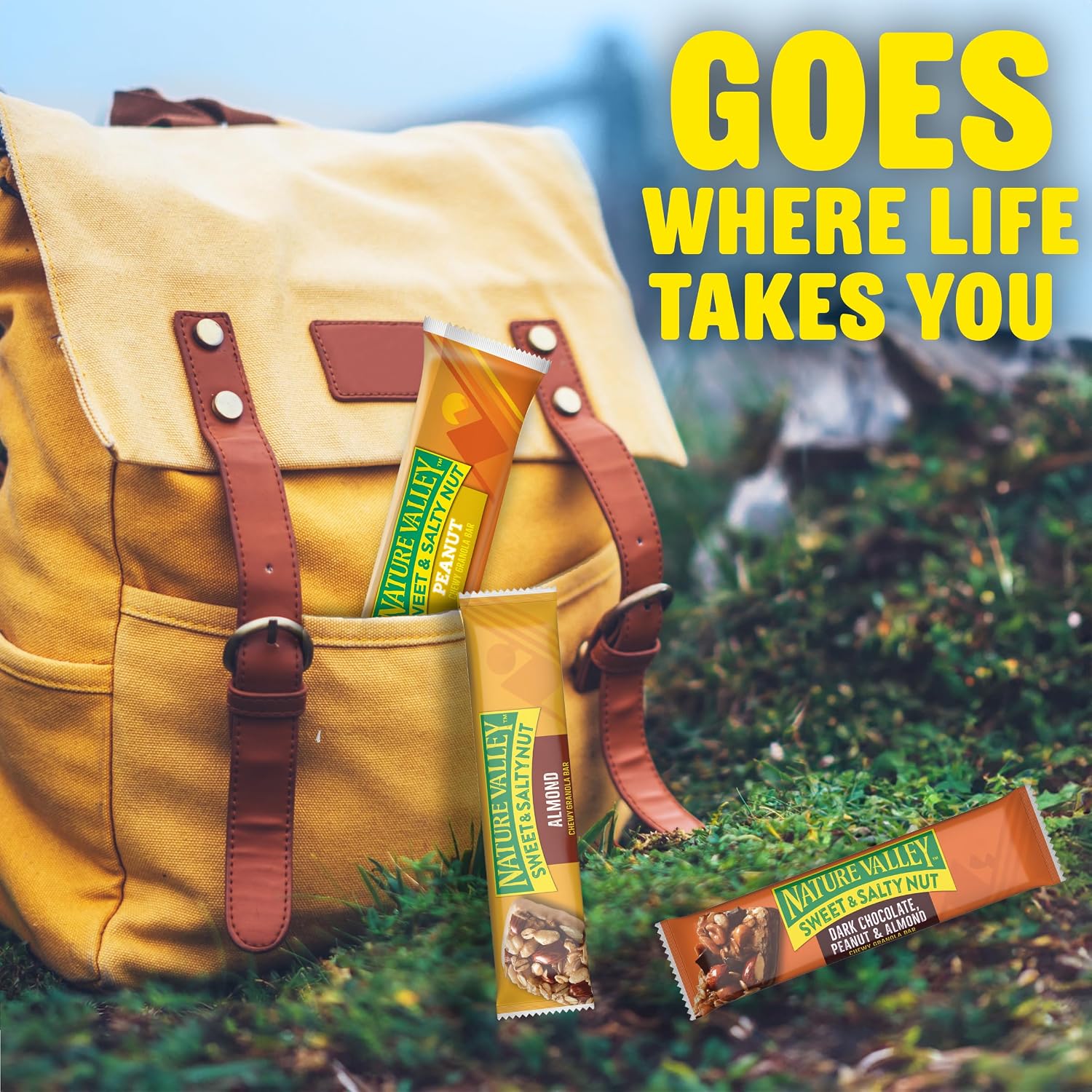 Nature Valley Sweet & Salty Variety Pack Granola Bars, 15 ct, 18 oz