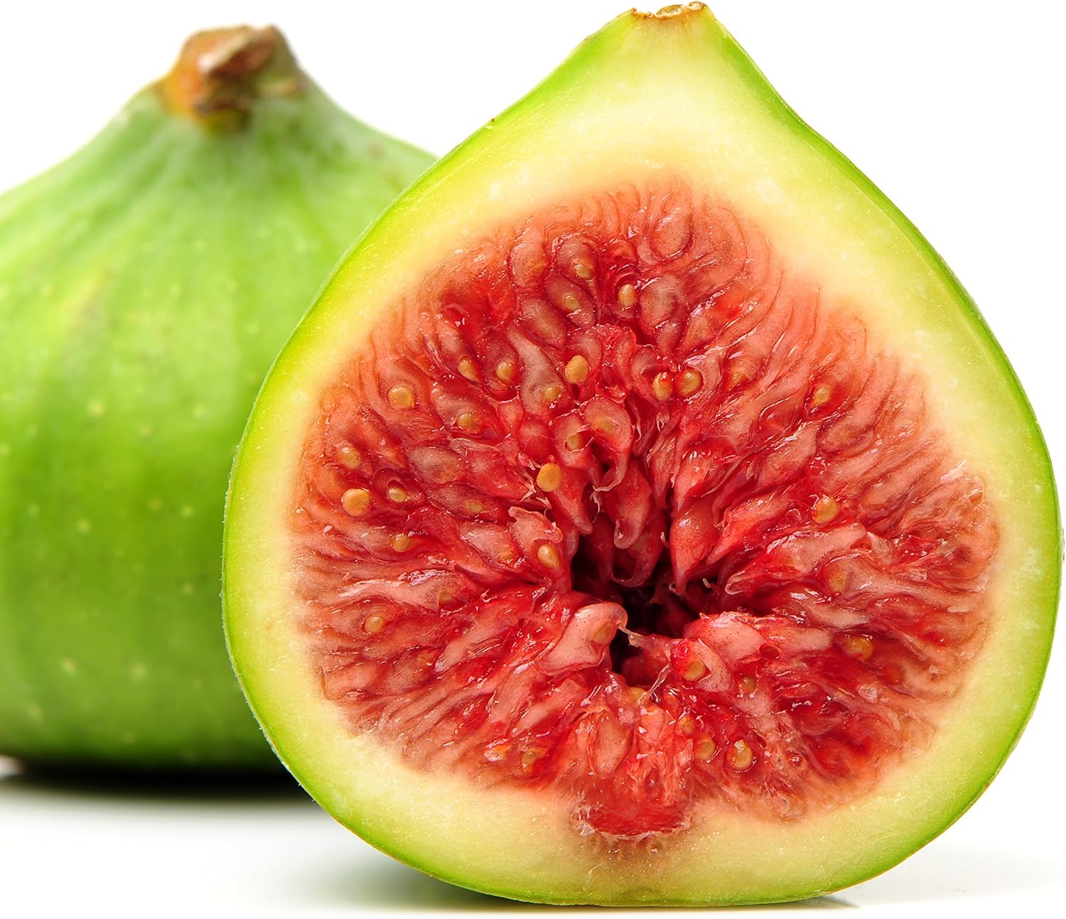 Beer's Black Fig Tree (Dwarf Habit) Live Plant - Ficus carica 'Beer's Black' - Wellspring Gardens - Cold-Hardy Fig, Dwarf Fig Tree, Compact Fig Plant - Fruit Bearing Starter Tree