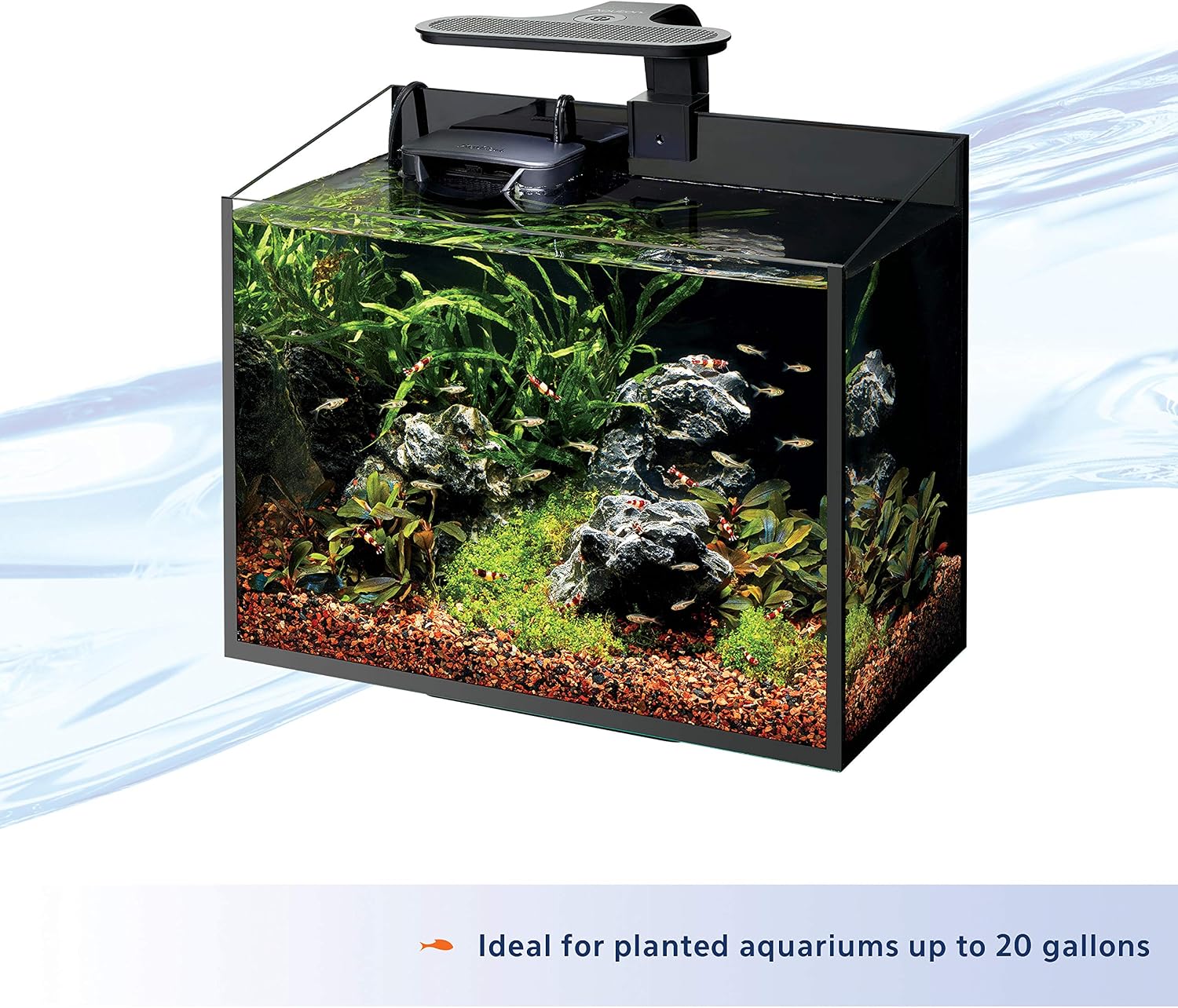 Aqueon Clip-On LED Aquarium Fish Tank Light for Planted Growing Plants for Up To 20 Gallon Aquariums