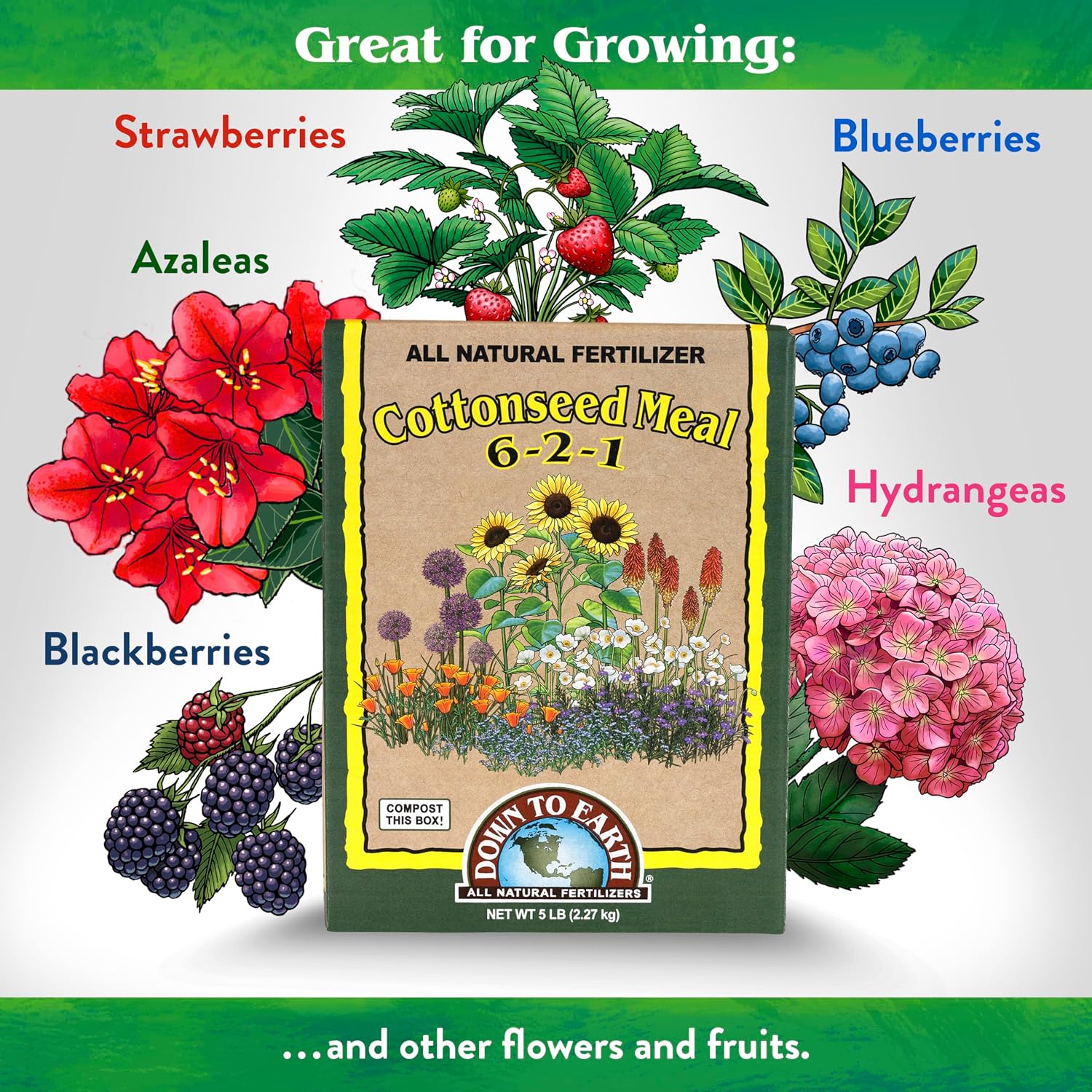 Down To Earth All Natural Fertilizers Organic Cottonseed Meal - 6-2-1, 5 lb | Plant Food for Low pH, Acid Soil Loving Plants, High Nitrogen
