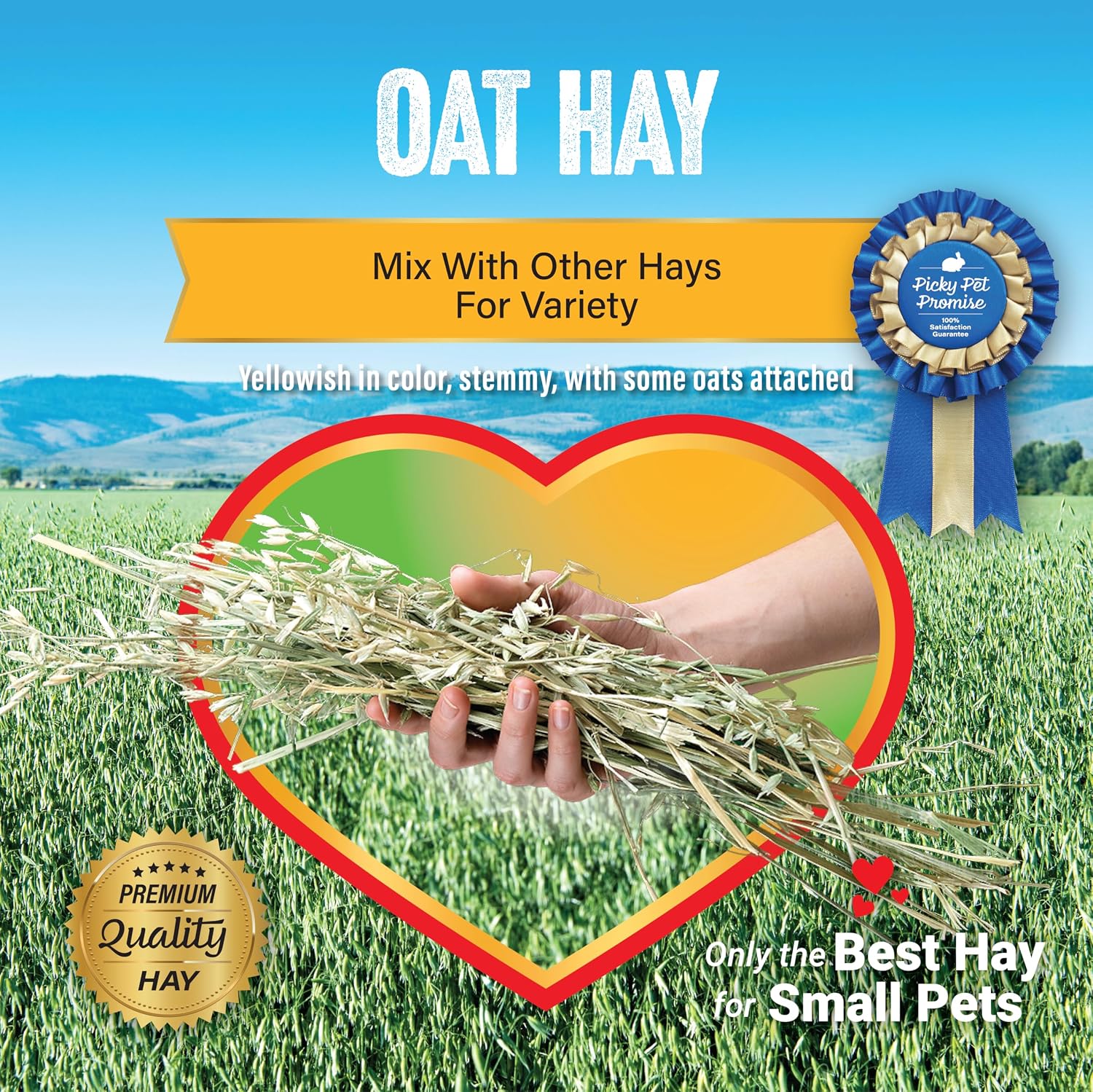 Small Pet Select Oat Hay for Rabbits, Guinea Pigs & Chinchillas, 10 lb | Natural Grass Hay with Seed Heads, High Fiber Forage, For Bunnies, Hamsters, Chinchillas & Other Small Pets
