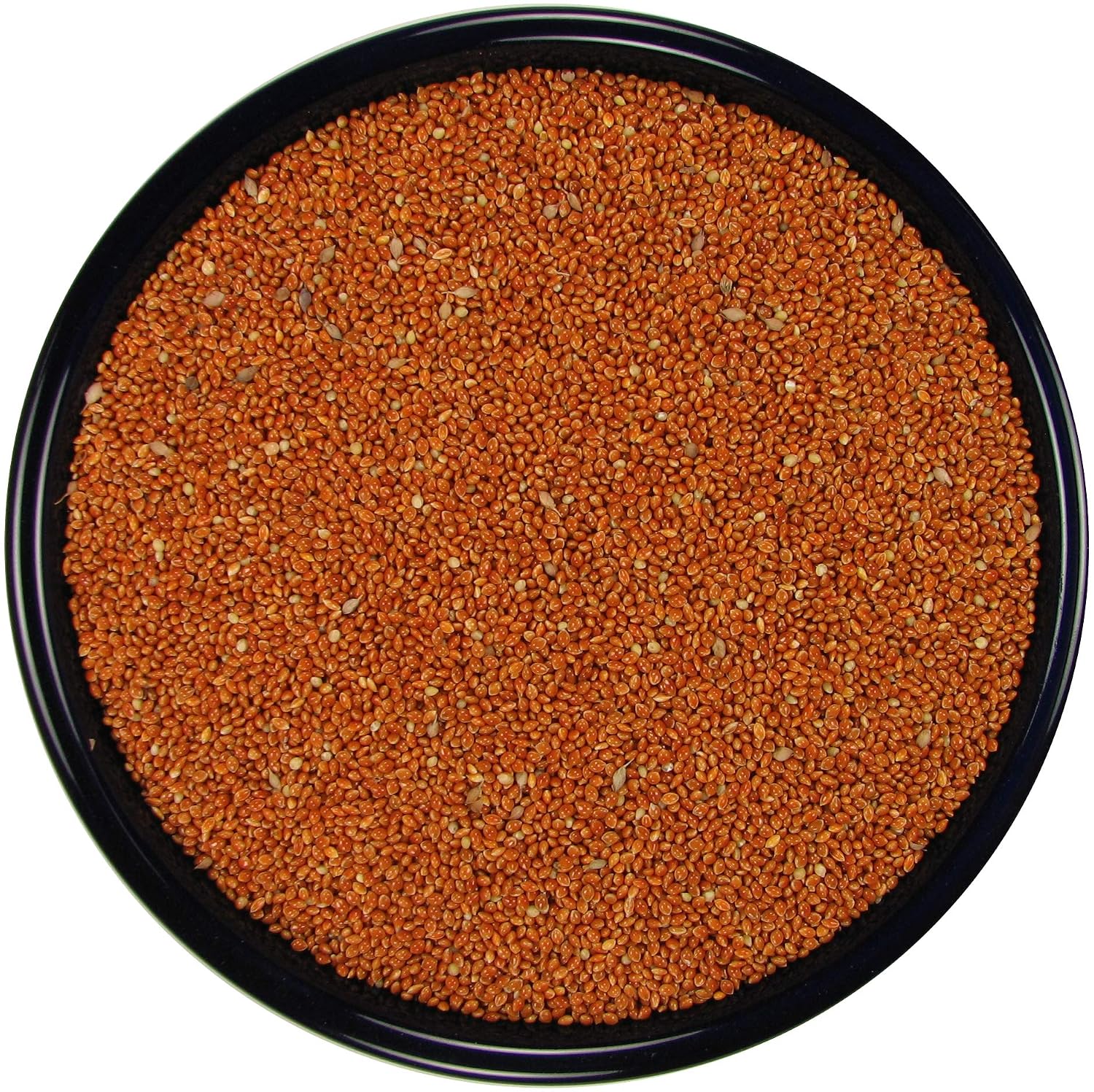 All Natural Red Proso Millet (20 lbs.)