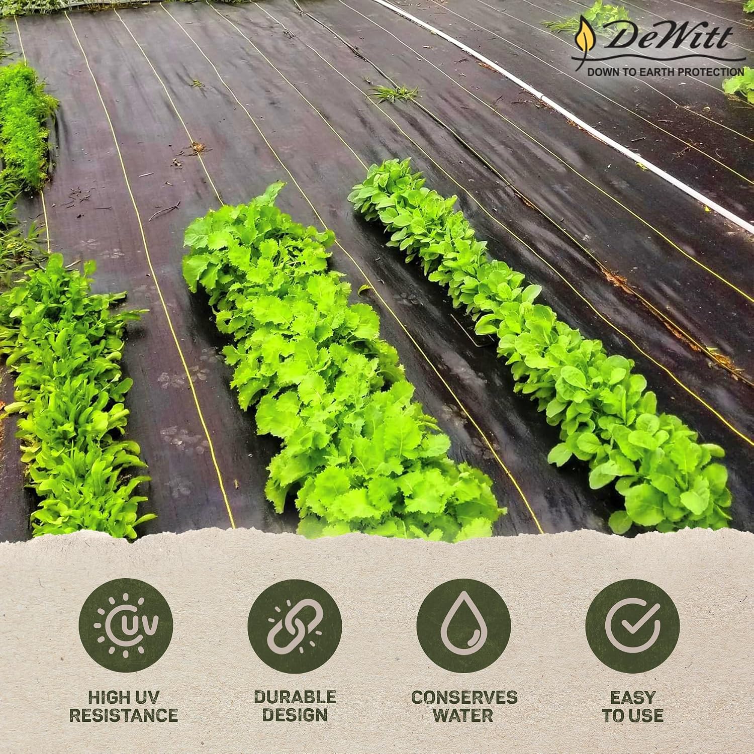 Dewitt Pro-5 Weed Barrier Fabric 5 oz, 6 x 250 Feet – Heavy-Duty | Woven Landscape Ground Cover Mat for Raised Garden Bed, Greenhouse Gardening, Outdoor Landscaping, and Commercial Planting