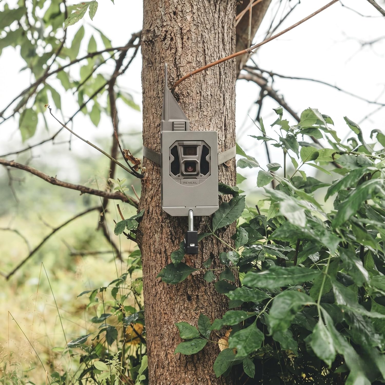 TACTACAM Reveal Security Box, Steel Trail Camera Lock Box | Rust-resistant coating, deters theft & animal damage, padlock compatible, fits X, X2.0