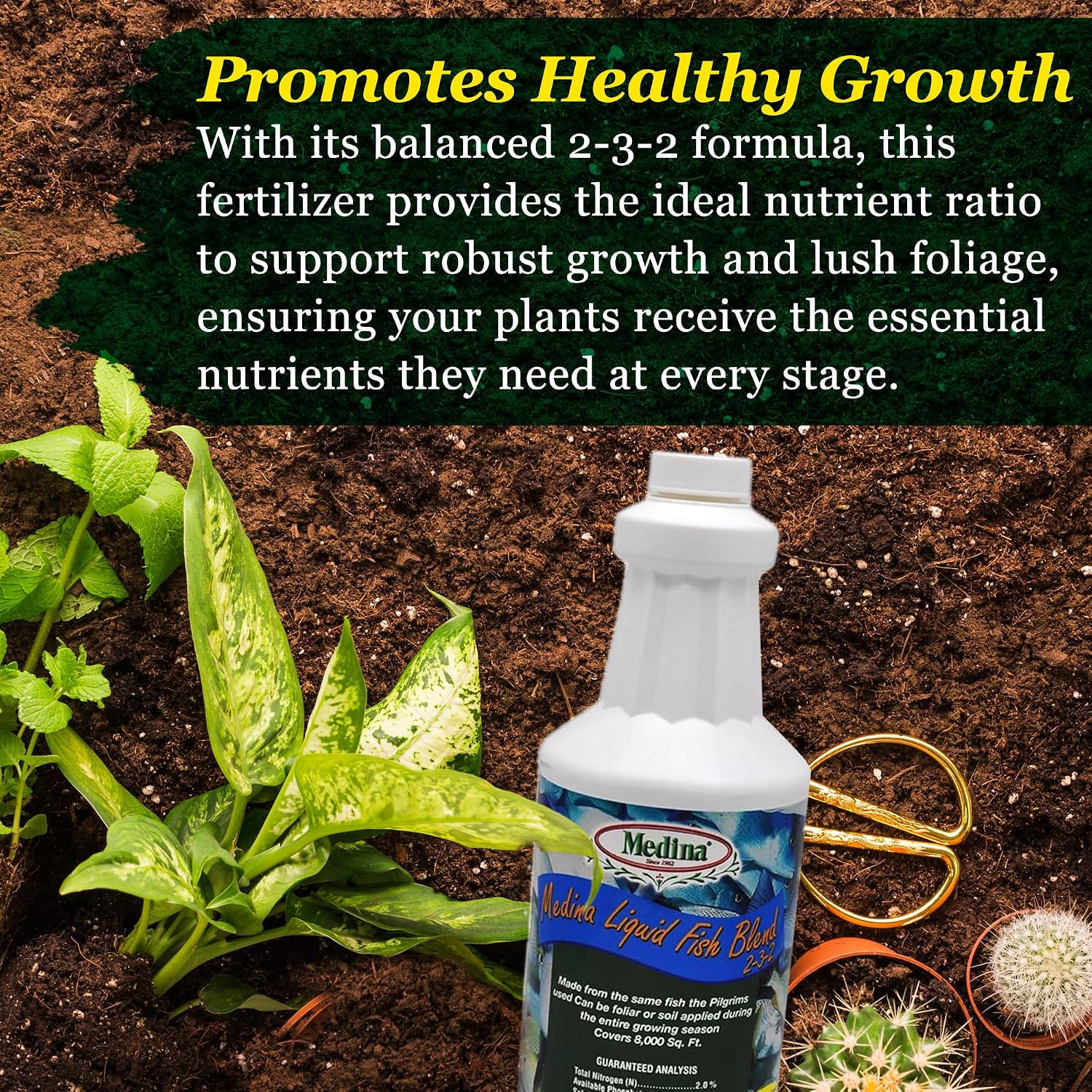 Medina Liquid Fish Blend Fertilizer 2-3-2, 1 Gallon | Gro, Bloom, and Lush Gardens, Seaweed Enriched Plant Food, Vibrant Growth and Blooms, Available