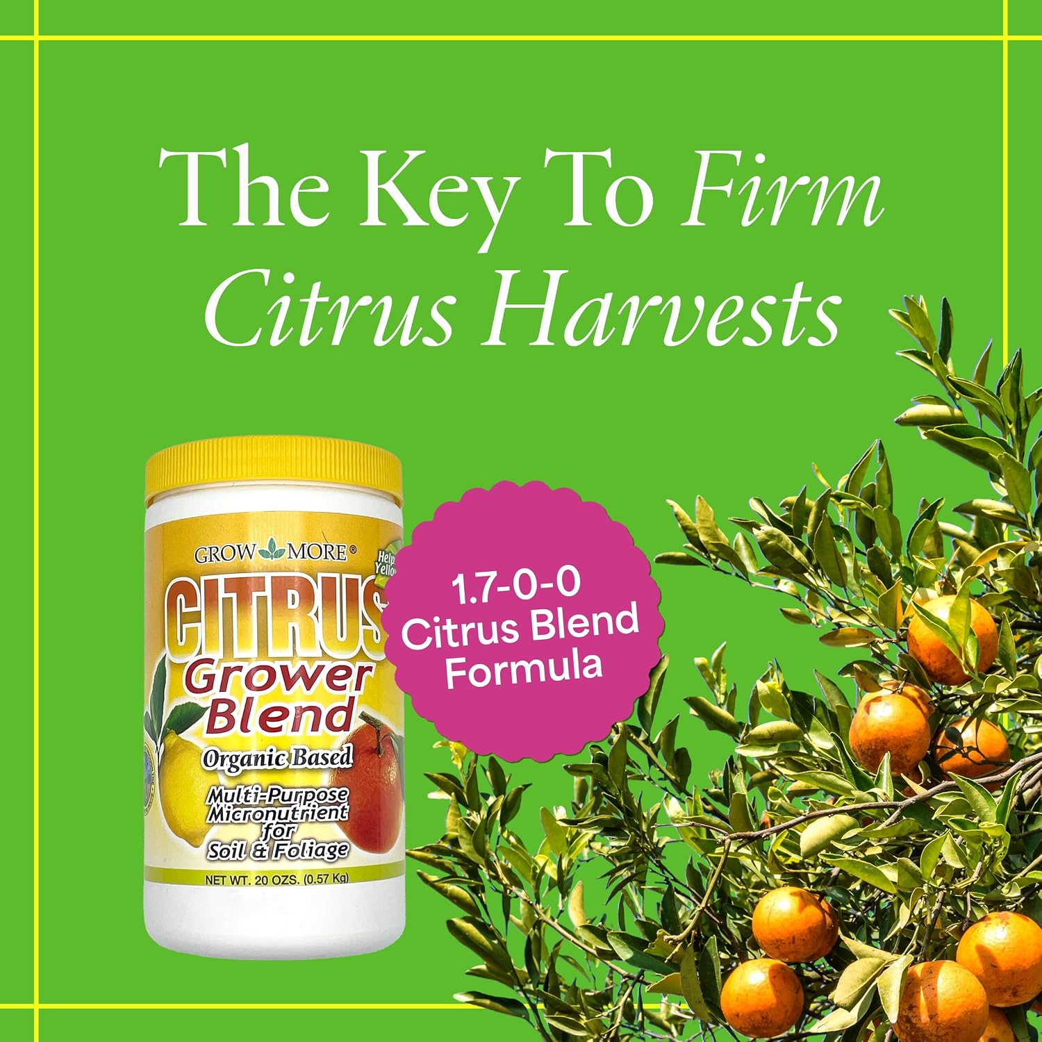 Grow More Citrus Grower Blend (1.7-0-0) - 20oz of Organic Citrus Fertilizer for Potted Trees with Chelated Micronutrient - Improves Taste, Color