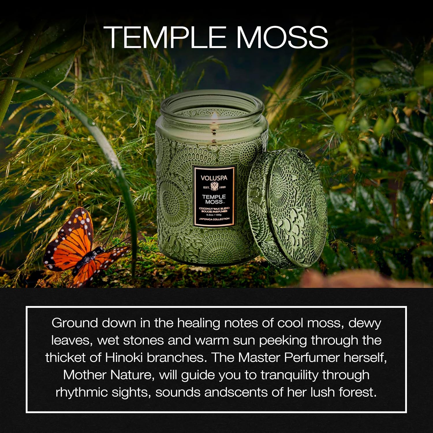 Voluspa Baltic Amber, Small Candle Jar, 5.5 oz, 50 Hour Burn Time, Coconut Wax for Clean Burning, Handcrafted in the USA