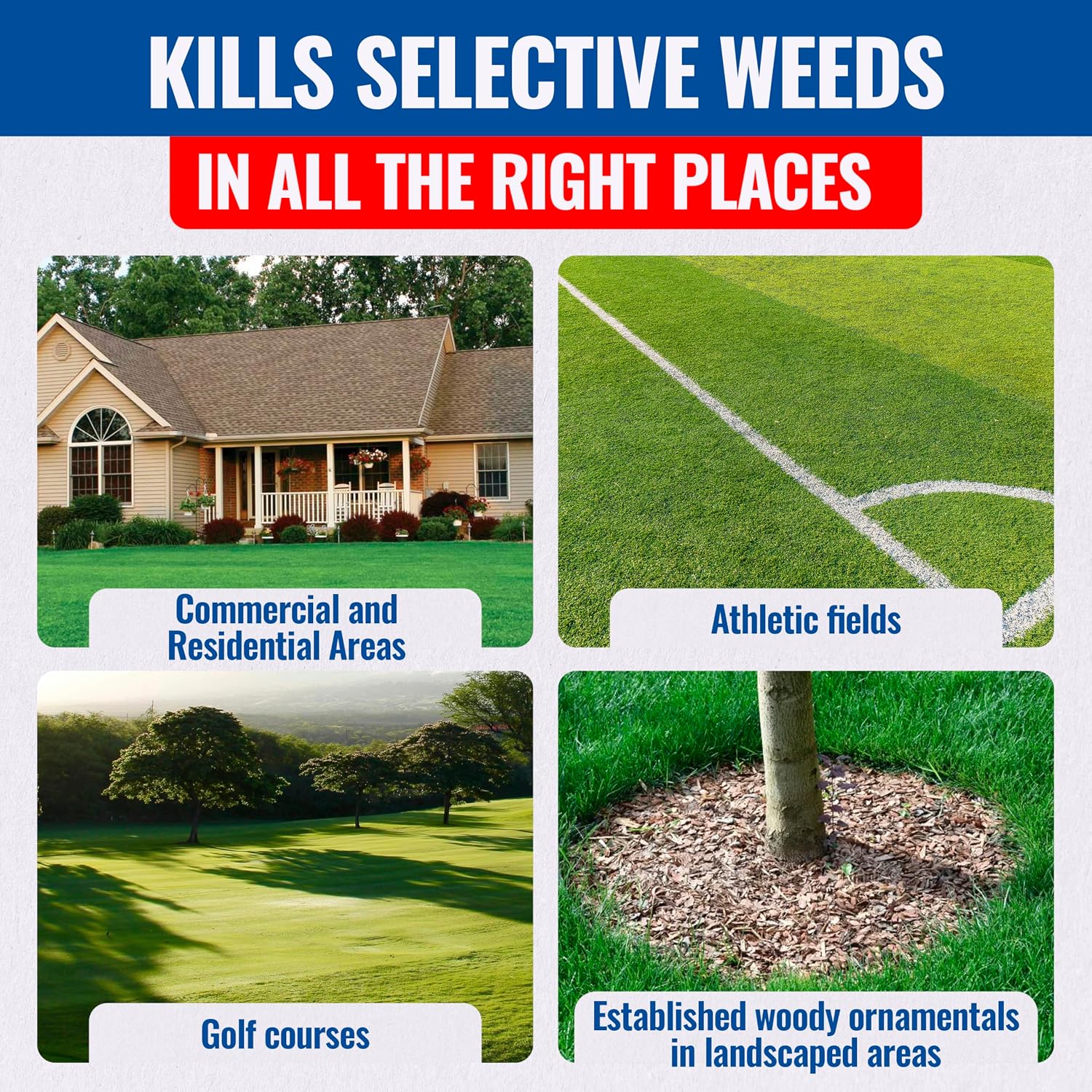 Sedgehammer Plus Turf Herbicide, Purple & Yellow Nutsedge Killer (1) | Lawns with Pre-Mixed Surfactant, Lawn & Pet Safe Weed Killer Mix for Residential Use