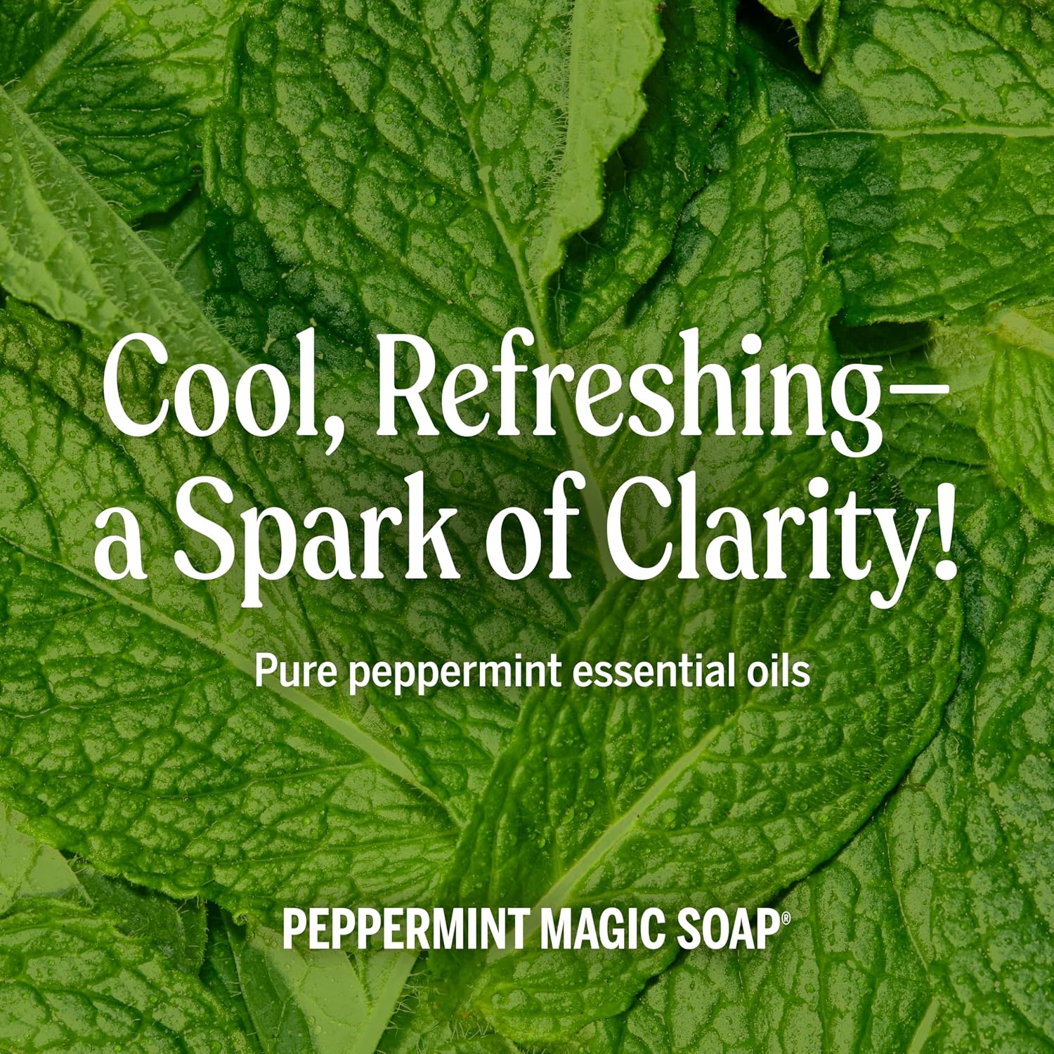 Dr. Bronner's Dr. Bronner Hemp Peppermint Pure Castile Oil Made with Organic Oils Certified - 25 Oz, 1count