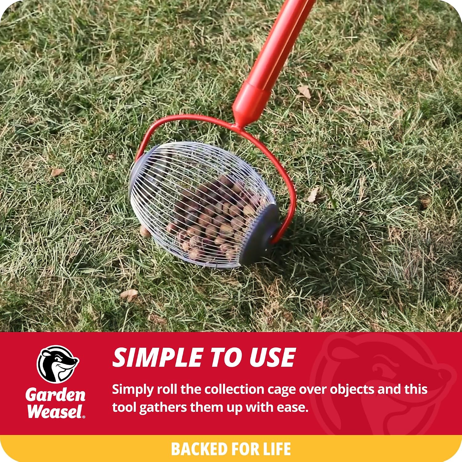 Garden Weasel Small Nut Gatherer Roller for Acorns Buckeyes Beech Nuts