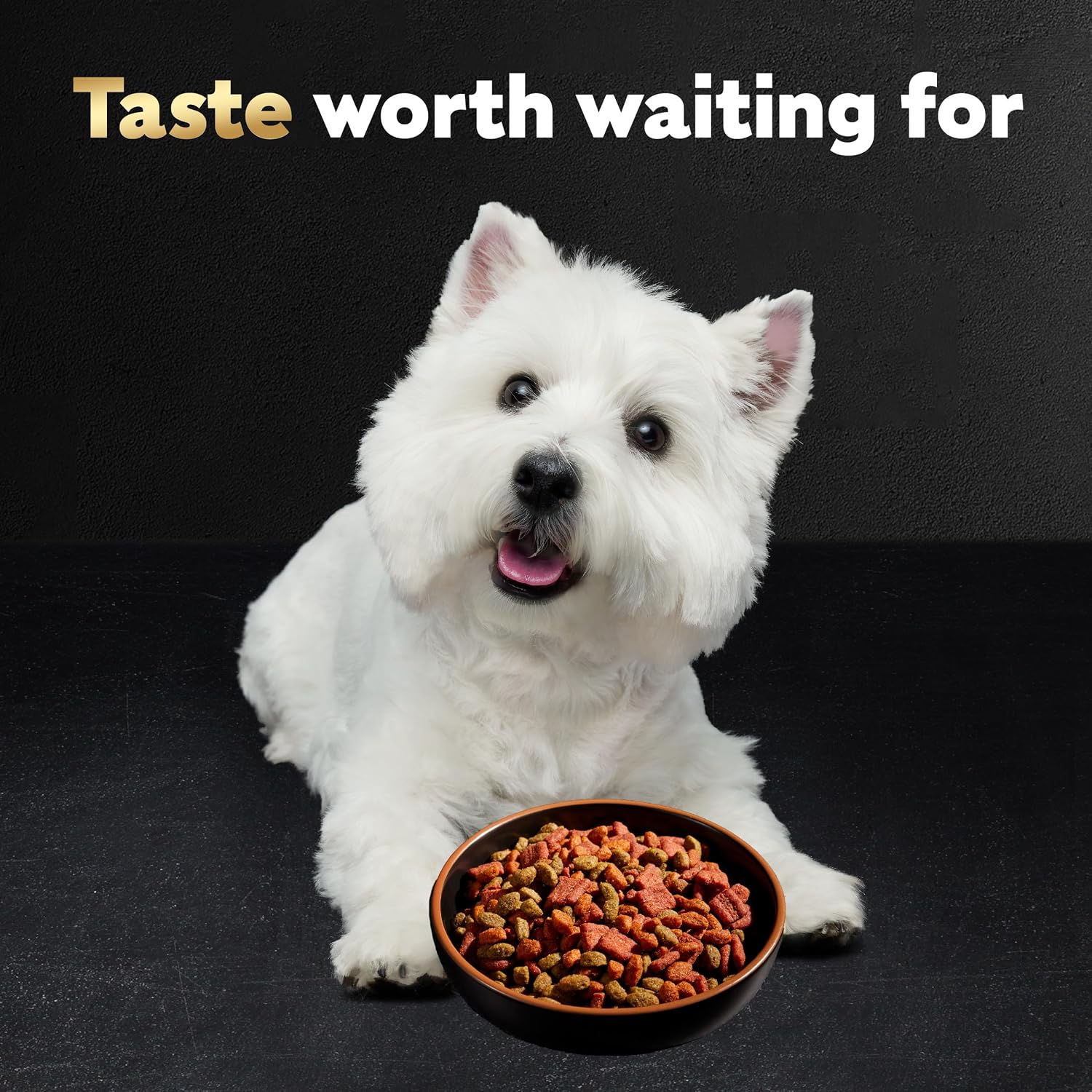 Cesar Small Breed Dry Dog Food, Chicken & Spring Vegetables Flavor, 5 lb | Made in USA, Real chicken #1 ingredient, 26 essential nutrients, supports small breed health, no artificial flavors