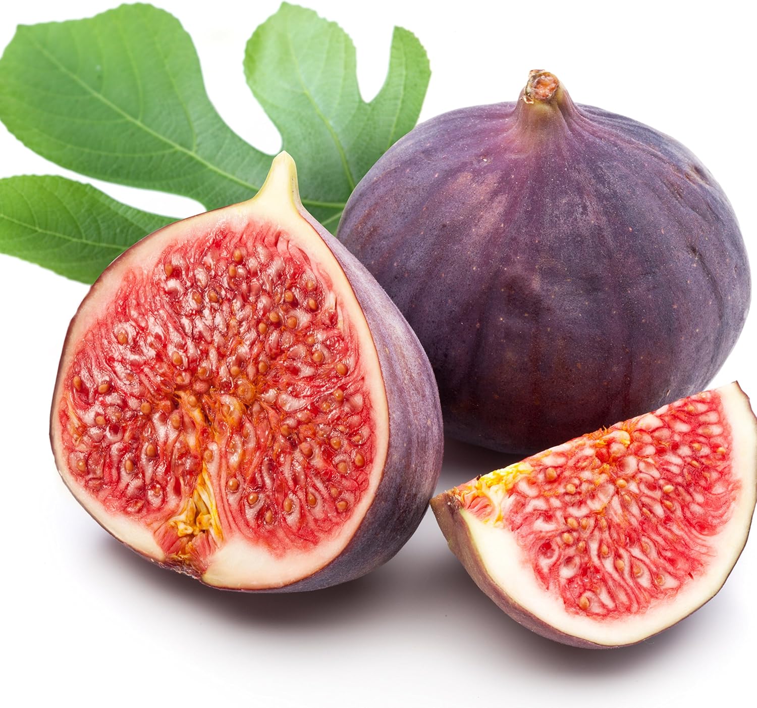 Olympian Fig Tree Live Plant - Ficus carica by Wellspring Gardens - Starter Plant Ideal for Gardens & Containers - Great for Indoor Houseplants, Outdoor Landscaping & Garden Planting