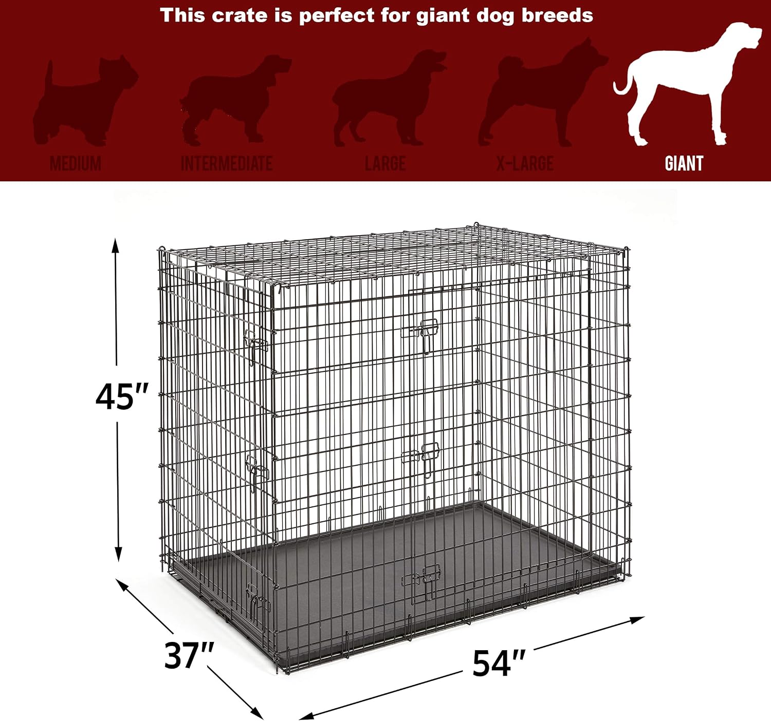 MidWest Homes for Pets 48-Inch iCrate for Extra-Large Breeds, 90-110 lbs, Single Door Folding Dog Crate with Divider Panel, Leak-Proof Tray & Secure Latches, Portable, Durable & Easy to Assemble