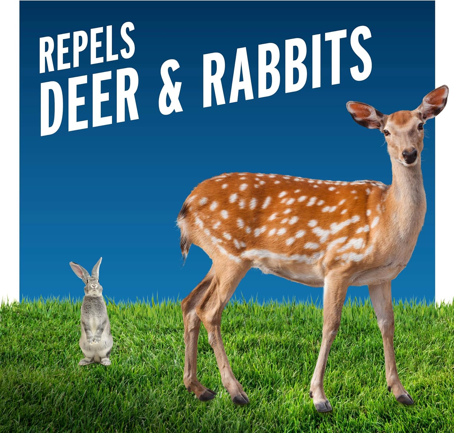 Liquid Fence Deer And Rabbit Repellent Concentrate 32 Ounces, Apply Year-Round | Use to Treat on Gardens, Flowers, Shrubs, Trees & Vines, Covers up to 5,000 Sq. Ft., Harmless to Plants & Animals
