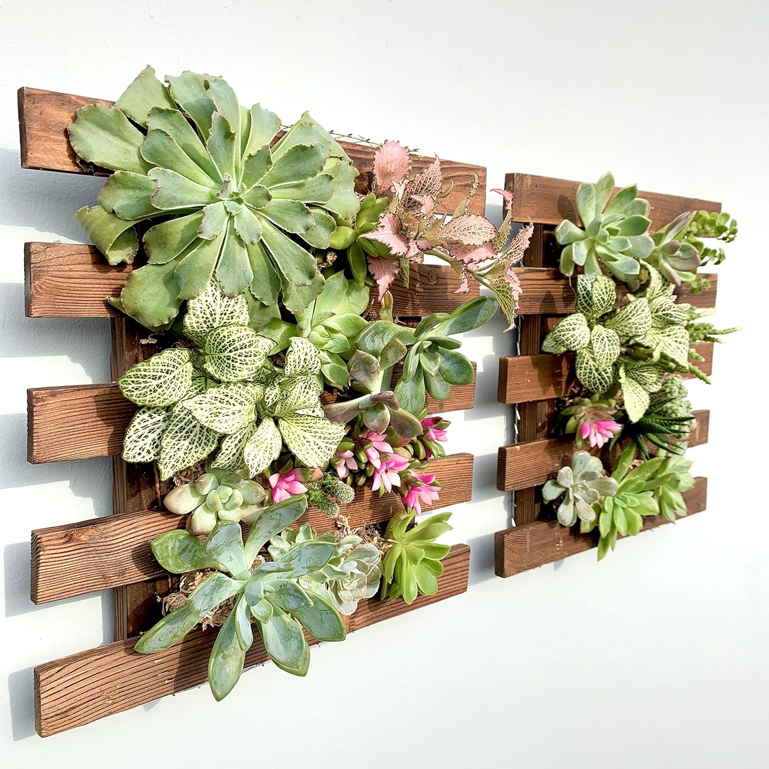 ShopLaLa Wall Planter (60cm, 2 Pack) Hanging Planters for Indoor Plants