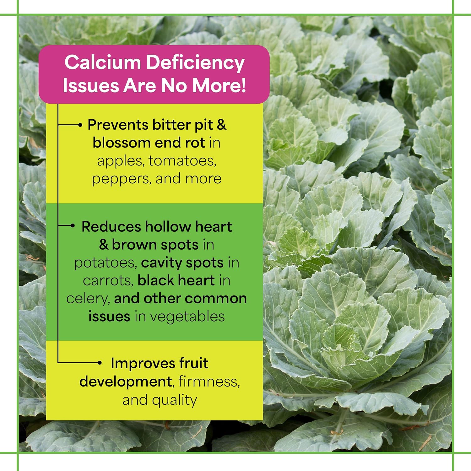 Grow More Maxi-Cal (10-0-0) - 16oz of USA-Made Calcium Nitrate Fertilizer - Provides Nitrogen & Liquid Calcium for Plants, Fruits