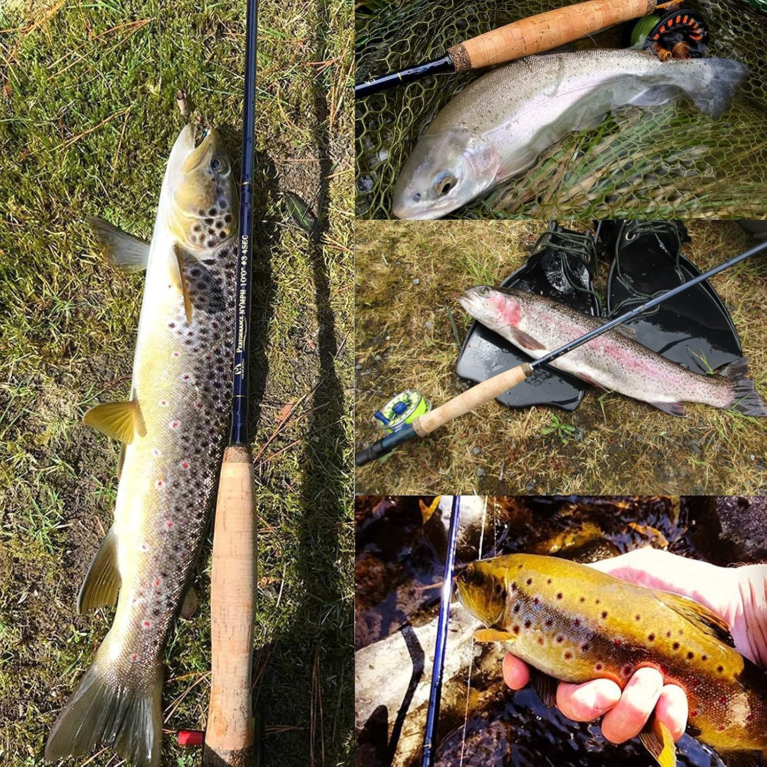 M MAXIMUMCATCH Maxcatch Performance Nymph Fly Fishing Rod in 2/3/4wt: 10ft/11ft, IM10 Carbon, AAA Cork Handle, Rod Tube and Combo Set Available