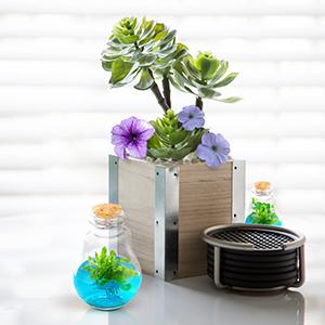 plant parent green thumb venus flytrap fly trap decor