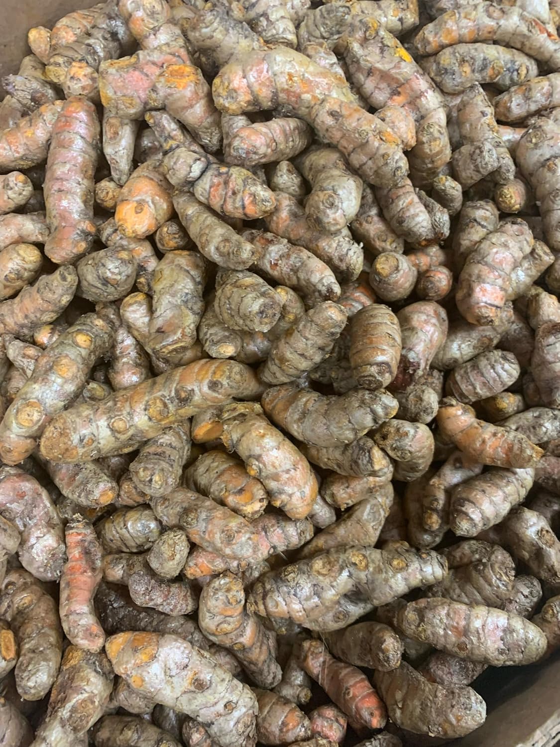 Fresh Yellow Turmeric Root - 1lb