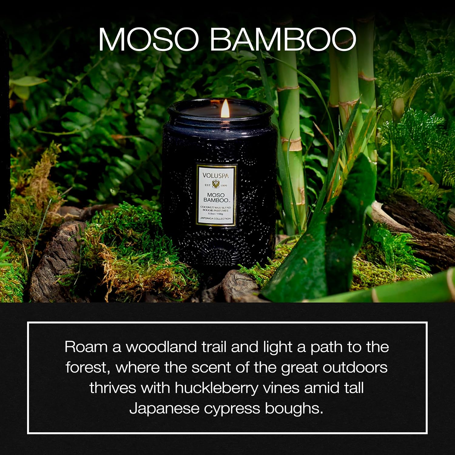 Voluspa Baltic Amber, Small Candle Jar, 5.5 oz, 50 Hour Burn Time, Coconut Wax for Clean Burning, Handcrafted in the USA