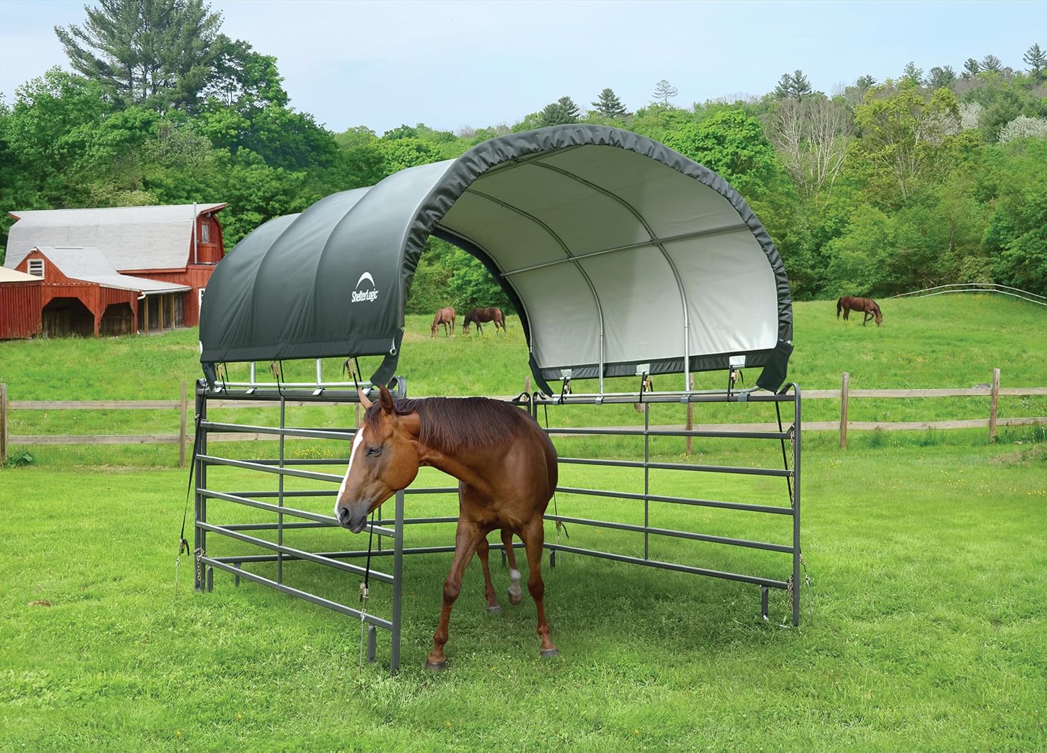 ShelterLogic 10' x 10' Powder Coated Green Corral Shelter Livestock Shade