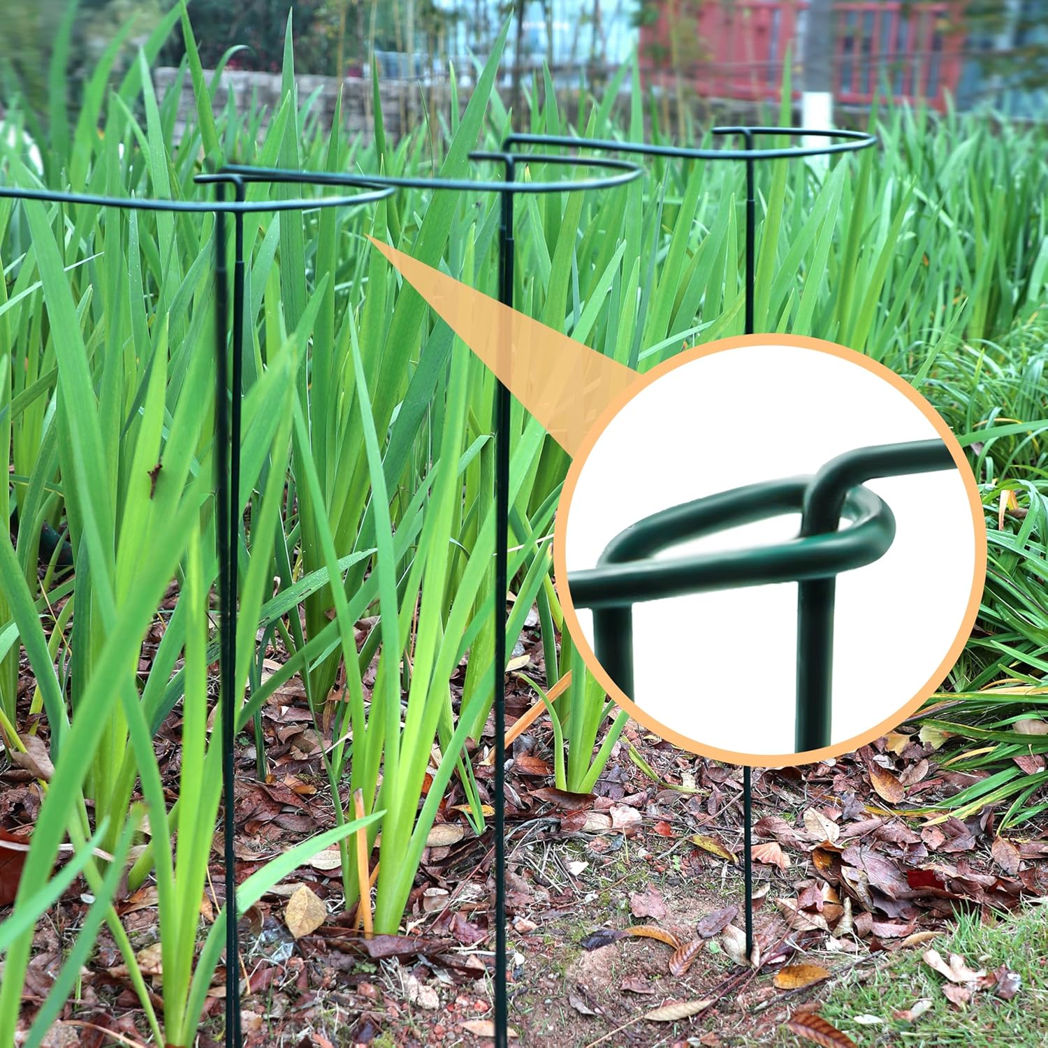 TCBWFY 10 Pack Garden Plant Support Stakes, 10" Widex16 High Heavy Duty Interlinked Half Round Peony Support Ring Cage for Indoor Outdoor Plants