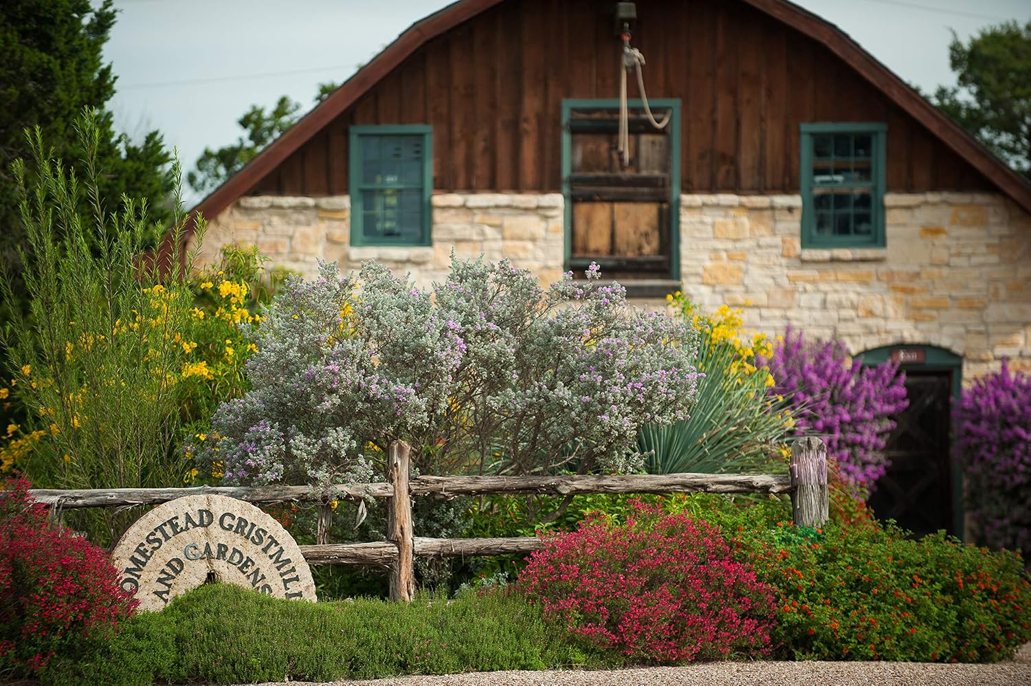 Homestead Gristmill — Stone-ground Sifted White Wheat Flour (5 lb), Artisanally Milled from Hard White Wheat Berries