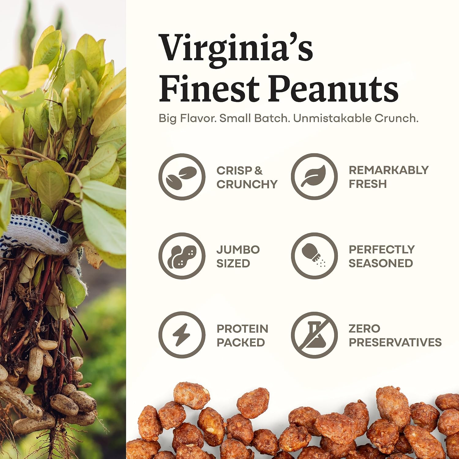 Belmont Peanuts Gourmet Sea-Salted Virginia Peanuts, 20 oz (1 Pack) – Only 3 Simple Ingredients, No Preservatives, 7g Protein – A Premium, Salty, Crunchy, Hand Seasoned Snack