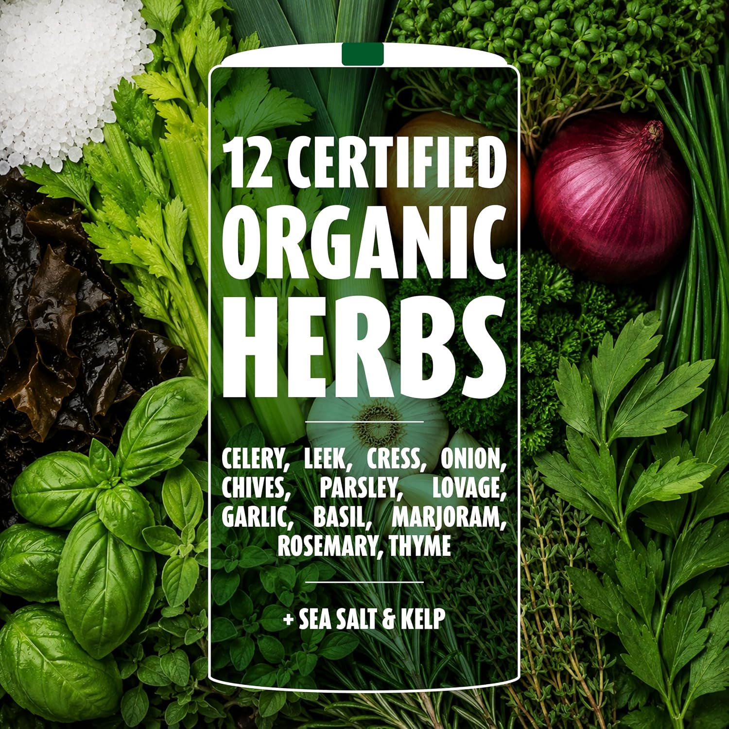 A. Vogel Herbamare Organic Seasoning Salt 8.8Oz. 6 Per Case | 33% Less Sodium - Infused with 12 Herbs & Vegetables - No Artificial Flavors or Preservatives - Keto & Paleo Friendly