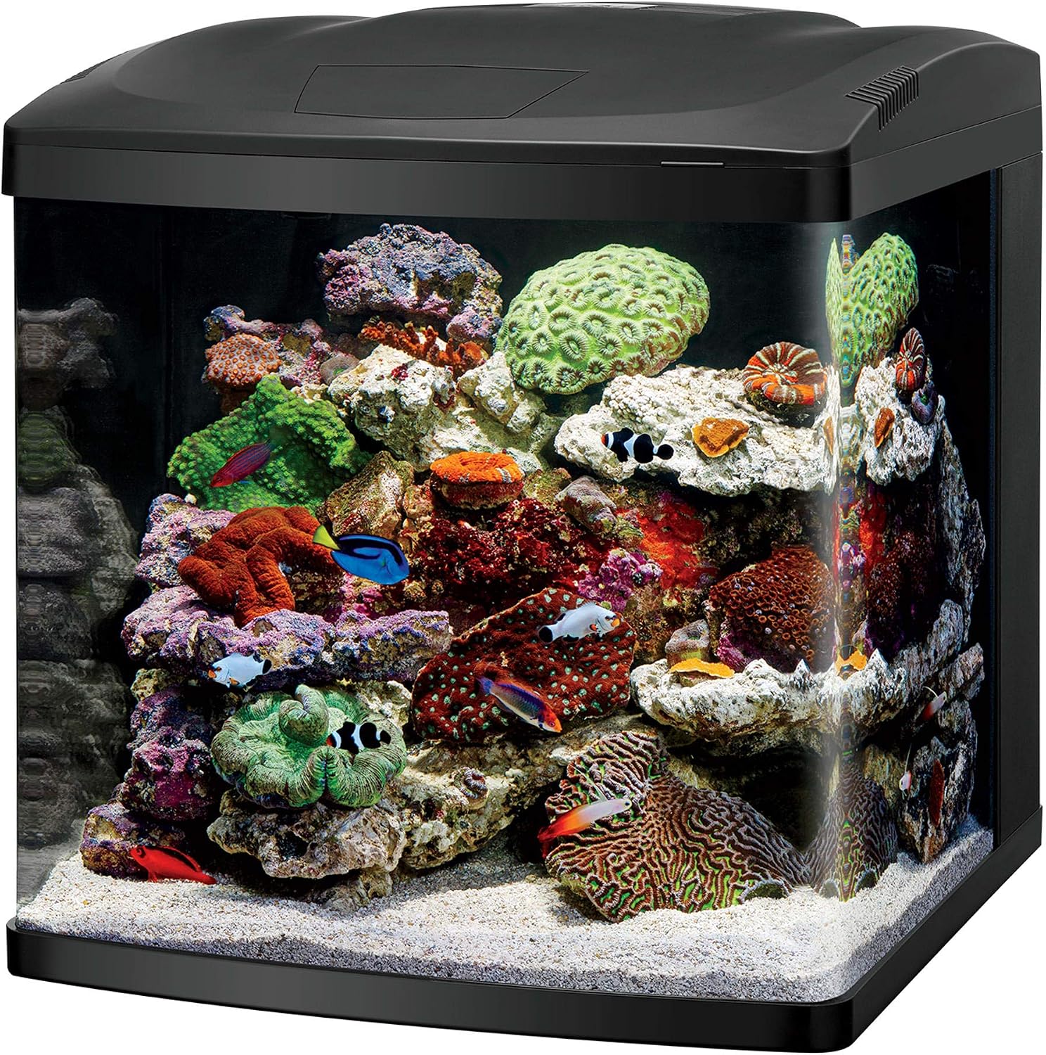 Coralife BioCube, Aquarium Kit, Nano Tank, Customizable LED Lighting, for Saltwater and Freshwater Environments, 16 Gallons