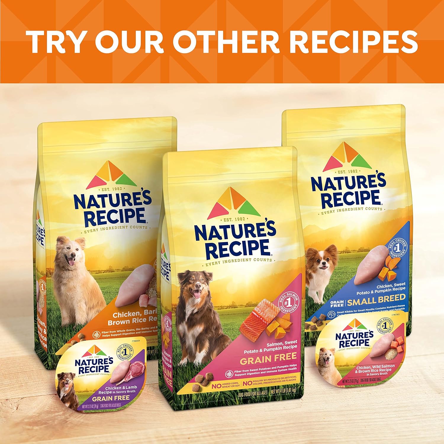 Nature's Recipe Grain Free Salmon Dry Dog Food, 24 lb. Bag | Fiber From Sweet Potatoes & Pumpkin Helps Support Digestion and Immune System Health