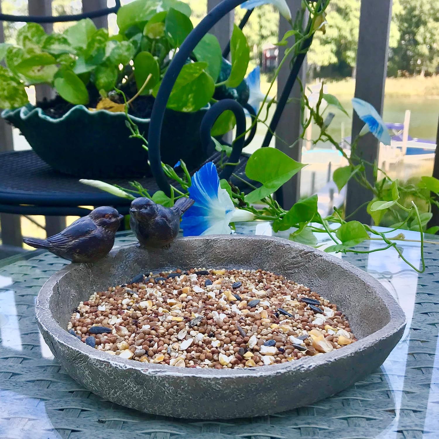 Bird Bath with 2 Snails, Off White Stone Finished Basin and Brown, All Weather Poly Resin, 8 1/4 inches Diameter (21cm)