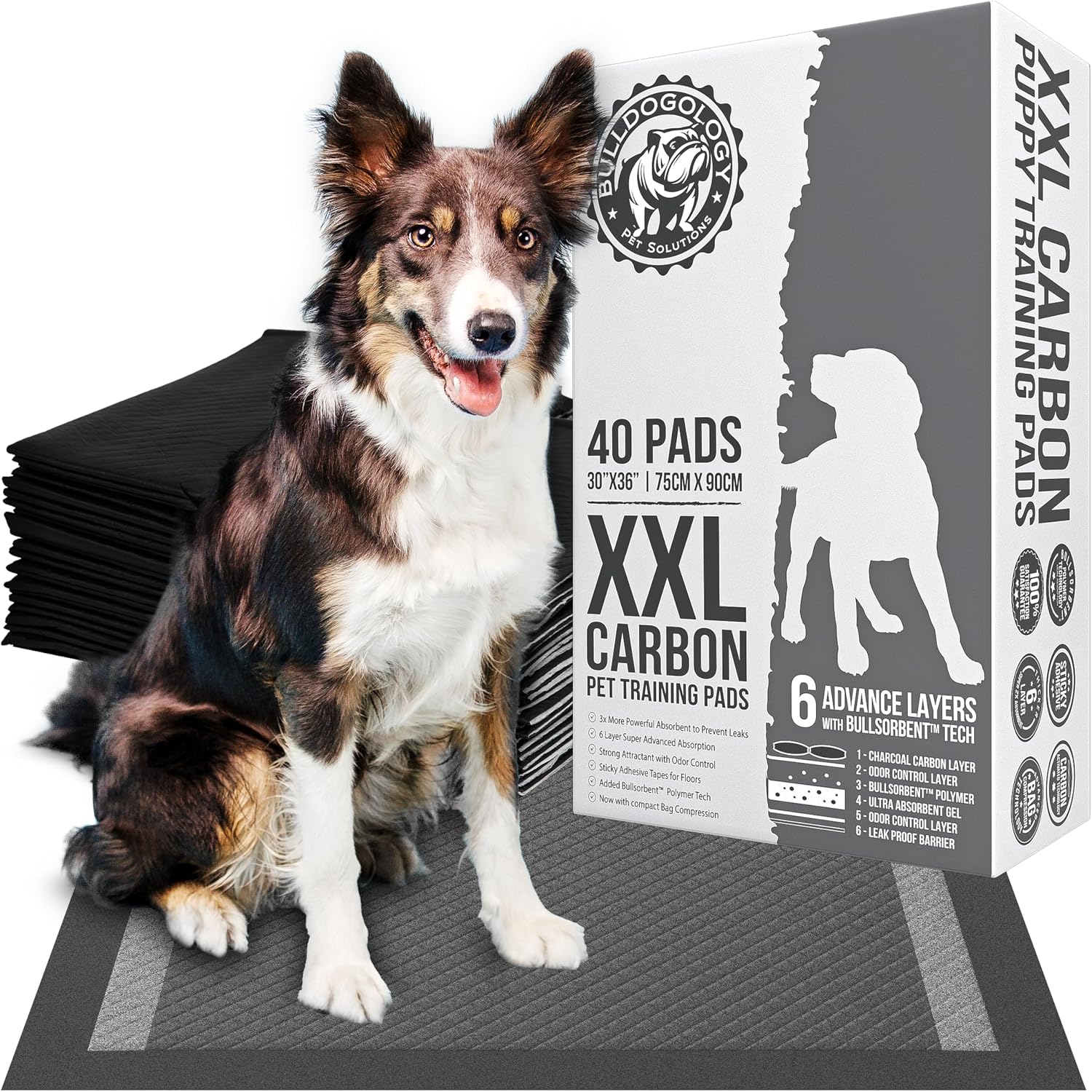 Bulldoglogy 50-Count Carbon Black Dog Pads Puppy Training Pads with Adhesive Tape 24x24 - Large Charcoal Puppy Pads Dog Training Wee Pads, Odor Control Thick Pee Pads for Dogs Extra Quick Dry