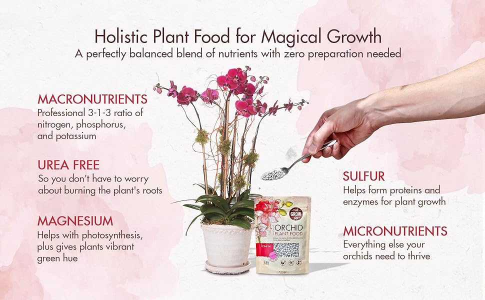 Orchid Plant Food