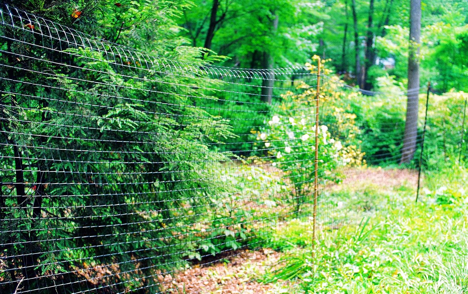 Tenax 2A120053 Deer Fence C-Flex-T Economy 6'x165' Black