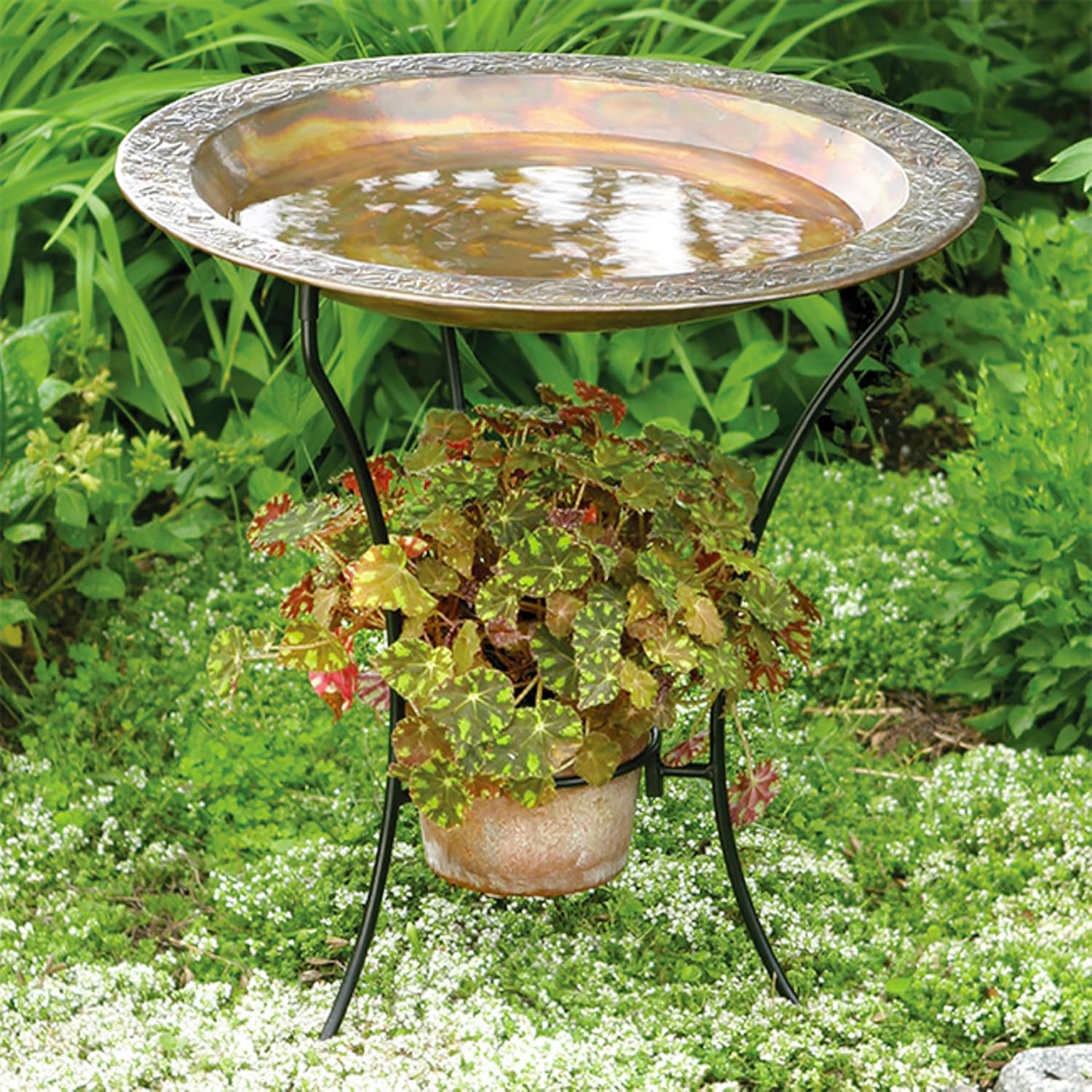 Ancient Graffiti Copper Plated Steel Bird Bath, 22W x 2D x 22H in.