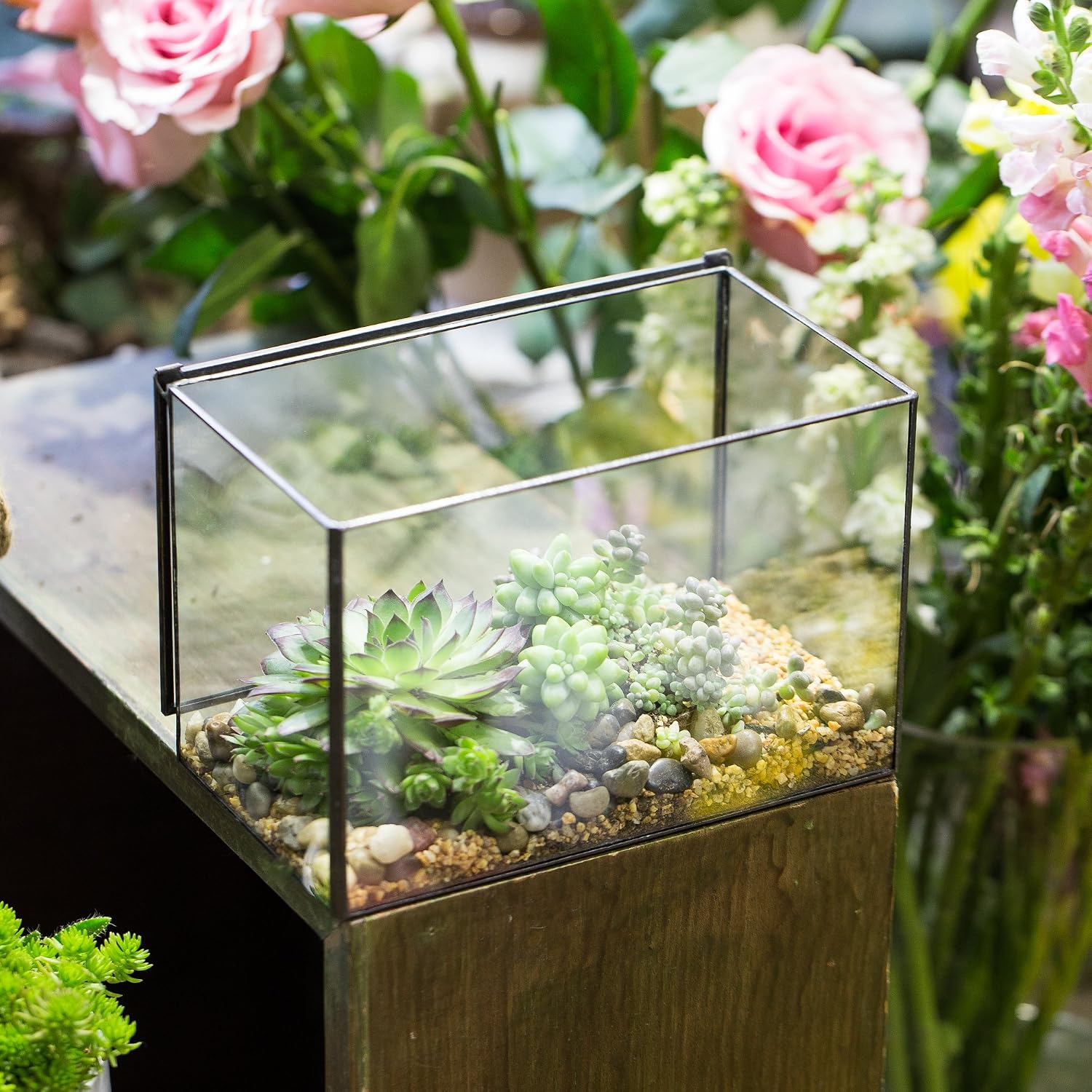 NCYP 6.7 x 4 x 4.8 Inch Small Glass Terrarium Planter with Lid, Clear Glass Box Container for Succulents, Air Plant, Moss, Ferns, Cactus
