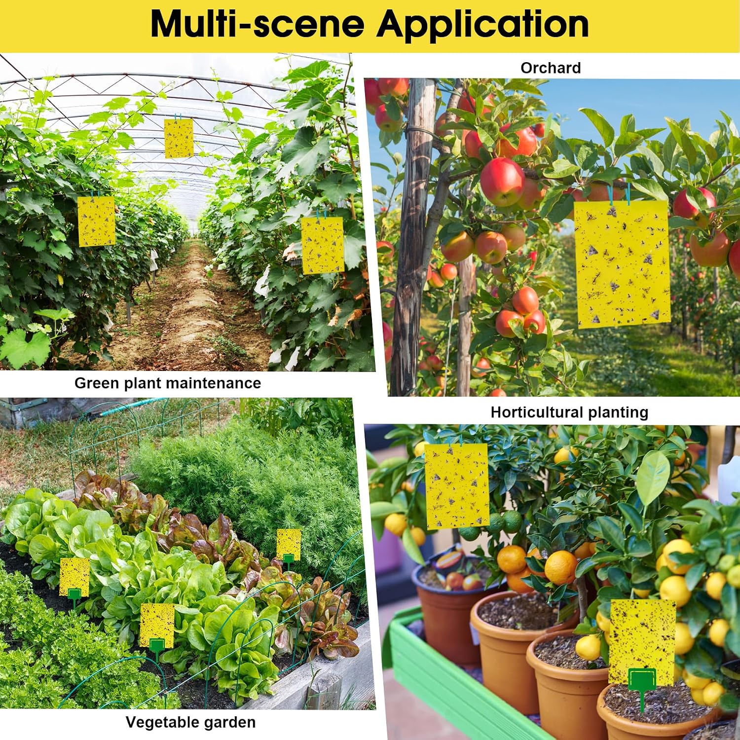 40 Pack Fungus Gnat Traps, Yellow Sticky Fruit Fly Traps for Indoor Plants