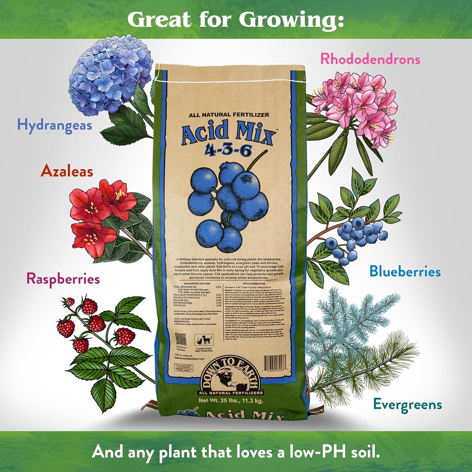 Down To Earth All Natural Fertilizers Organic Acid Mix - 4-3-6, 25 lb | Plant Food for Blueberries, Raspberries, Azaleas, Camellias, Rhododendrons, Hydrangeas, Evergreens and Acid-Loving Plants