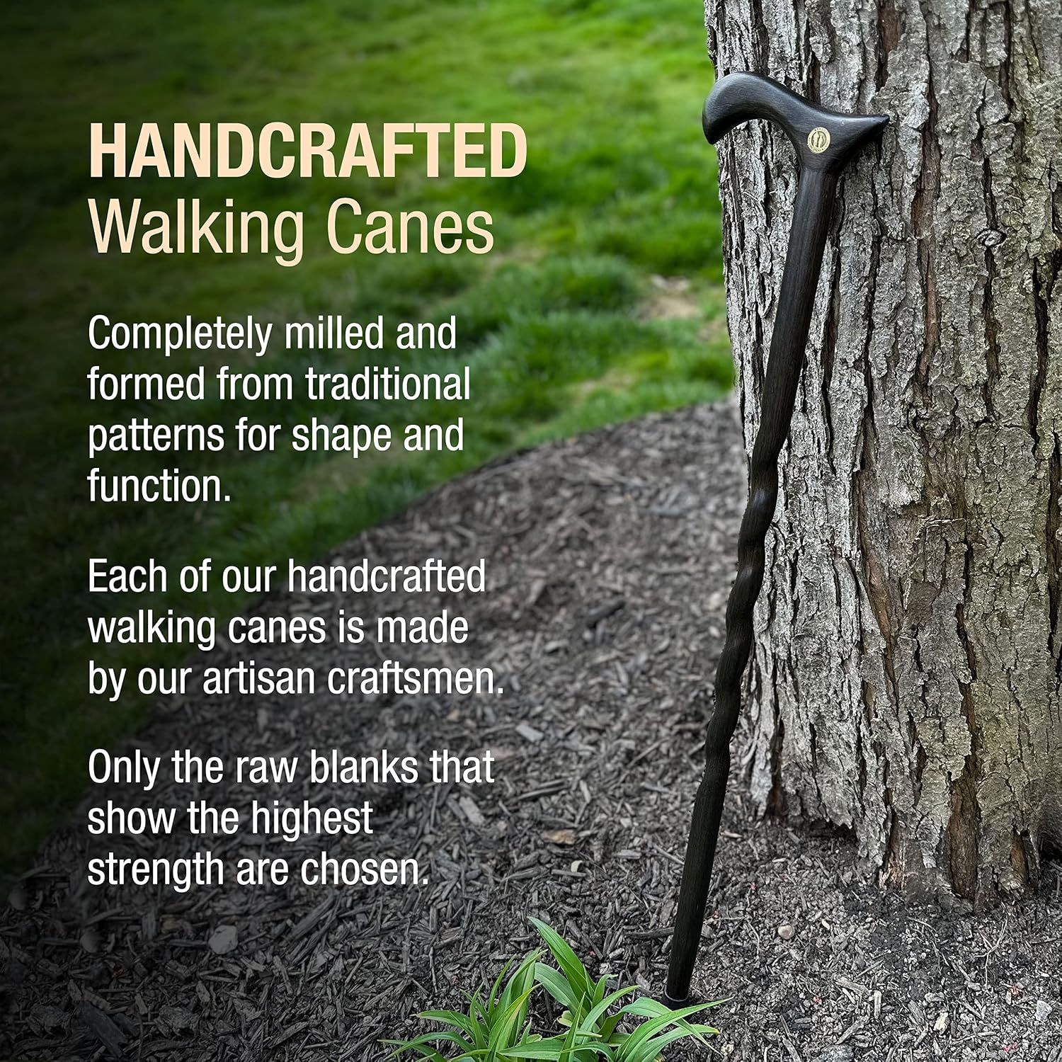 Brazos Handcrafted Wood Walking Cane, Twisted Oak, Derby Style Handle, for Men & Women, Made in The USA