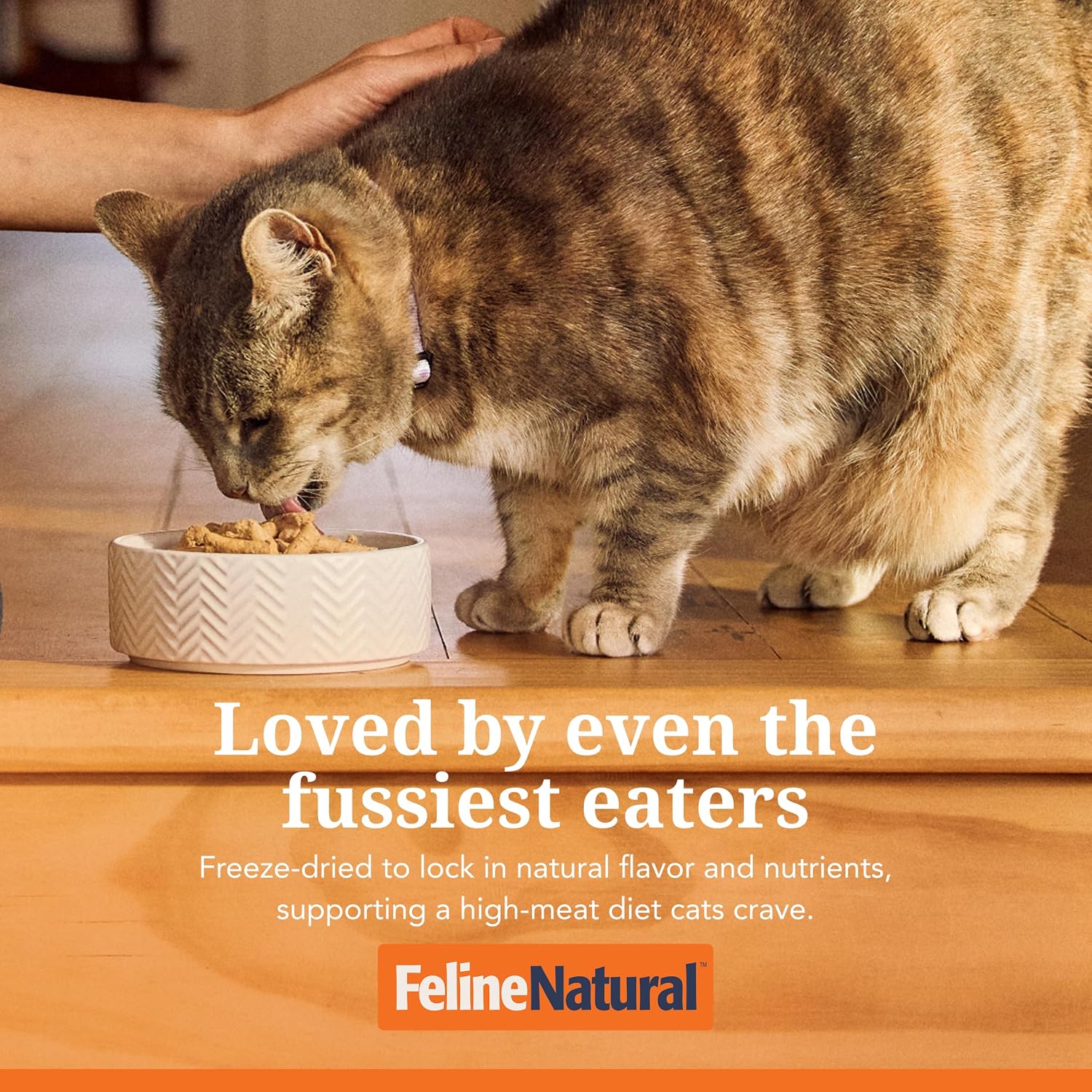Feline Natural - High Protein Freeze Dried Dry Cat Food with 98% Meat