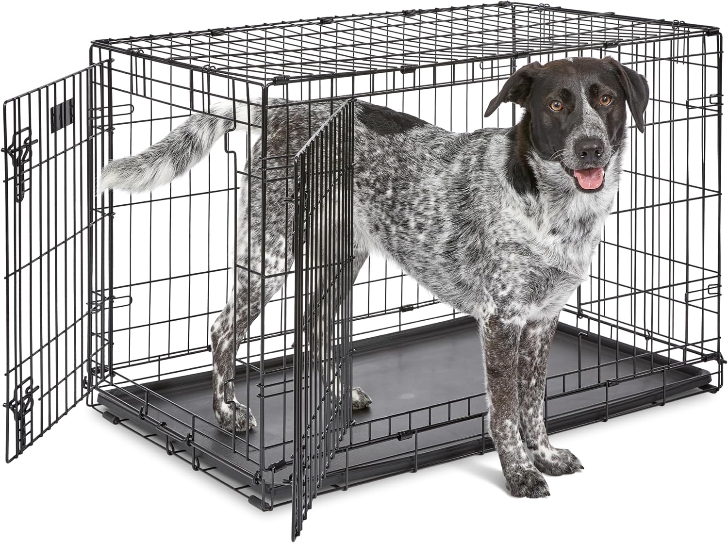 MidWest Homes for Pets 48-Inch iCrate for Extra-Large Breeds, 90-110 lbs, Single Door Folding Dog Crate with Divider Panel, Leak-Proof Tray & Secure Latches, Portable, Durable & Easy to Assemble