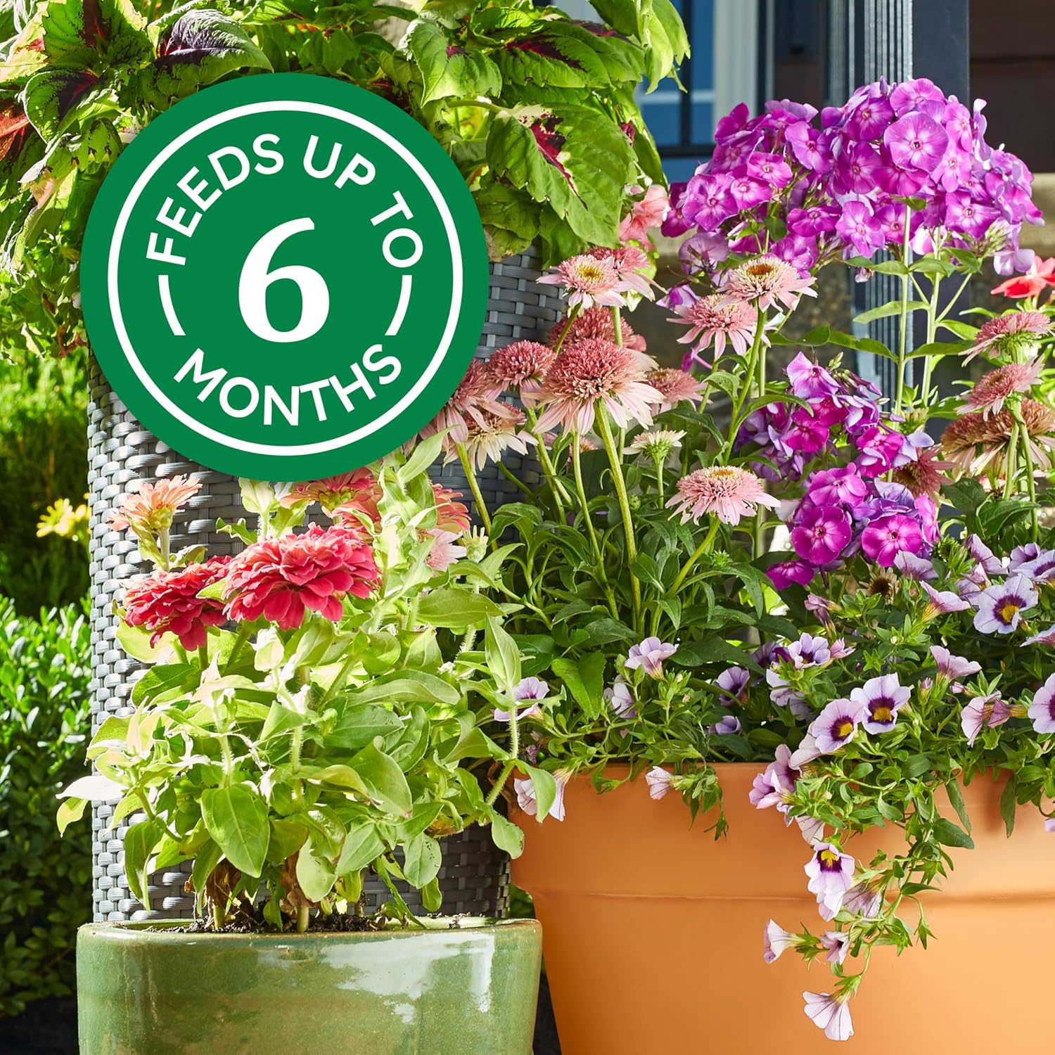 Osmocote Smart-Release Plant Food Flower & Vegetable, 4.5 lb. | For Edible Plants, Seasonal Vegetables, Fruits, Flowers, Herbs and More