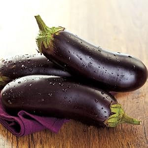 eggplant
