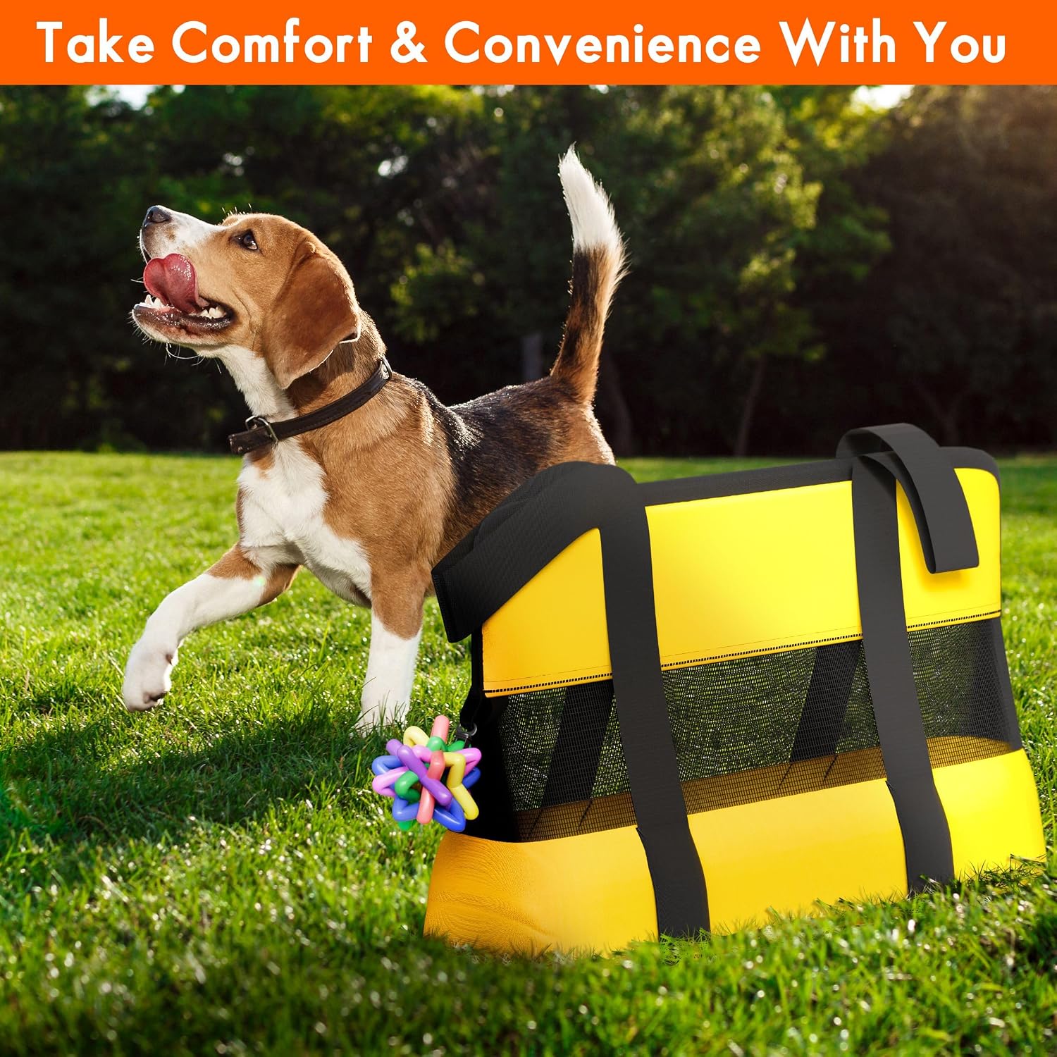 17" Soft Sided Cat and Dog Pet Carrier Bag for Travel with Bonus Toy Ball - Ideal and Compatible for Small Cats and Dogs - Versatile and TSA Airline