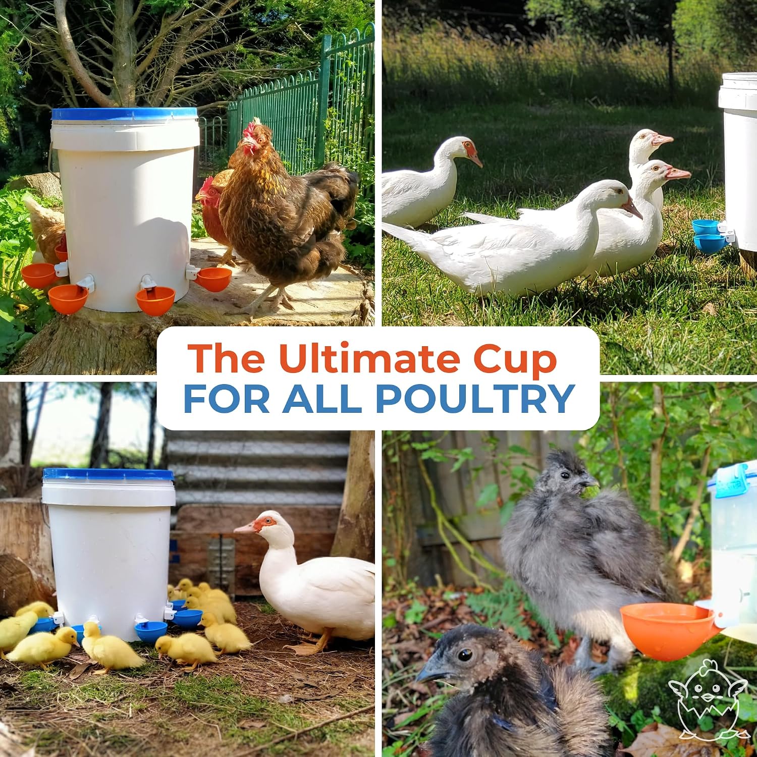 Lil'Clucker Large Automatic Chicken Waterer Cups | Chicken Water Feeder Suitable for Chicks, Duck, Goose