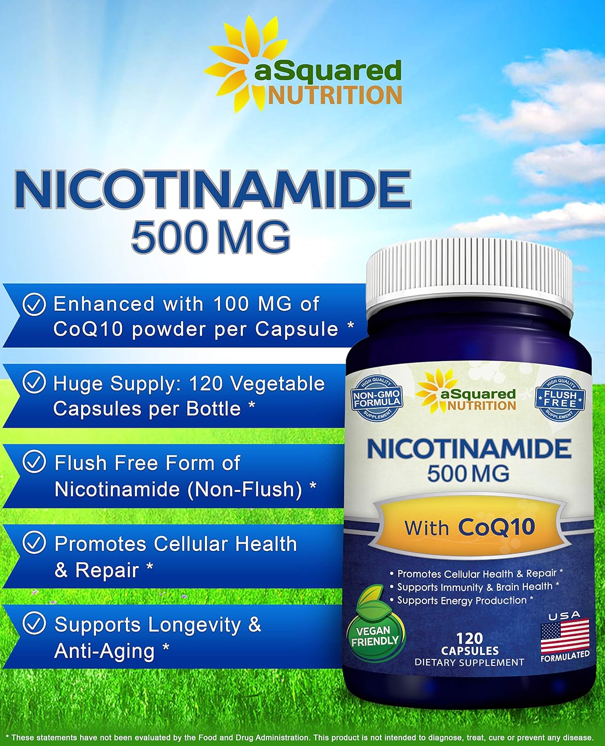 Nicotinamide with CoQ10 (120 Capsules) - Vitamin B3 500mg (Niacinamide Flush Free) - Coenzyme Q10 Powder - VIT B-3 & Coq 10 Supplement Pills to
