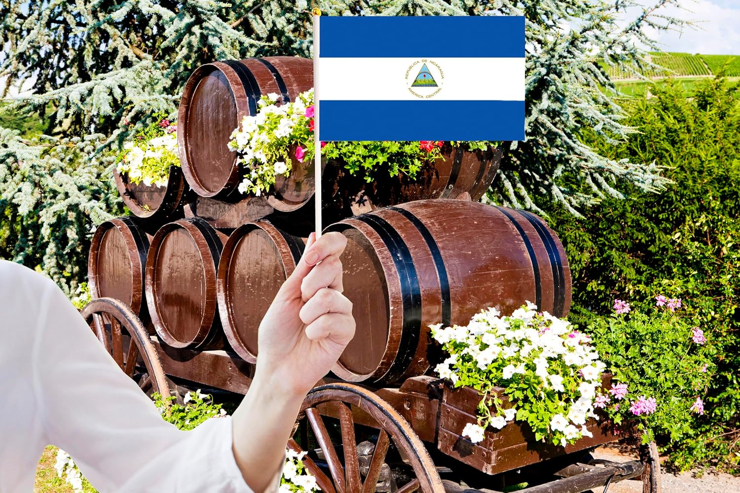 50 Pack Nicaragua Nicaraguan on Stick Flags,Small Mini Hand Held Nicaragua Nicaraguan Flags 5.5x8.3 Inch, Grand Opening, Carnival,Party Events Celebration